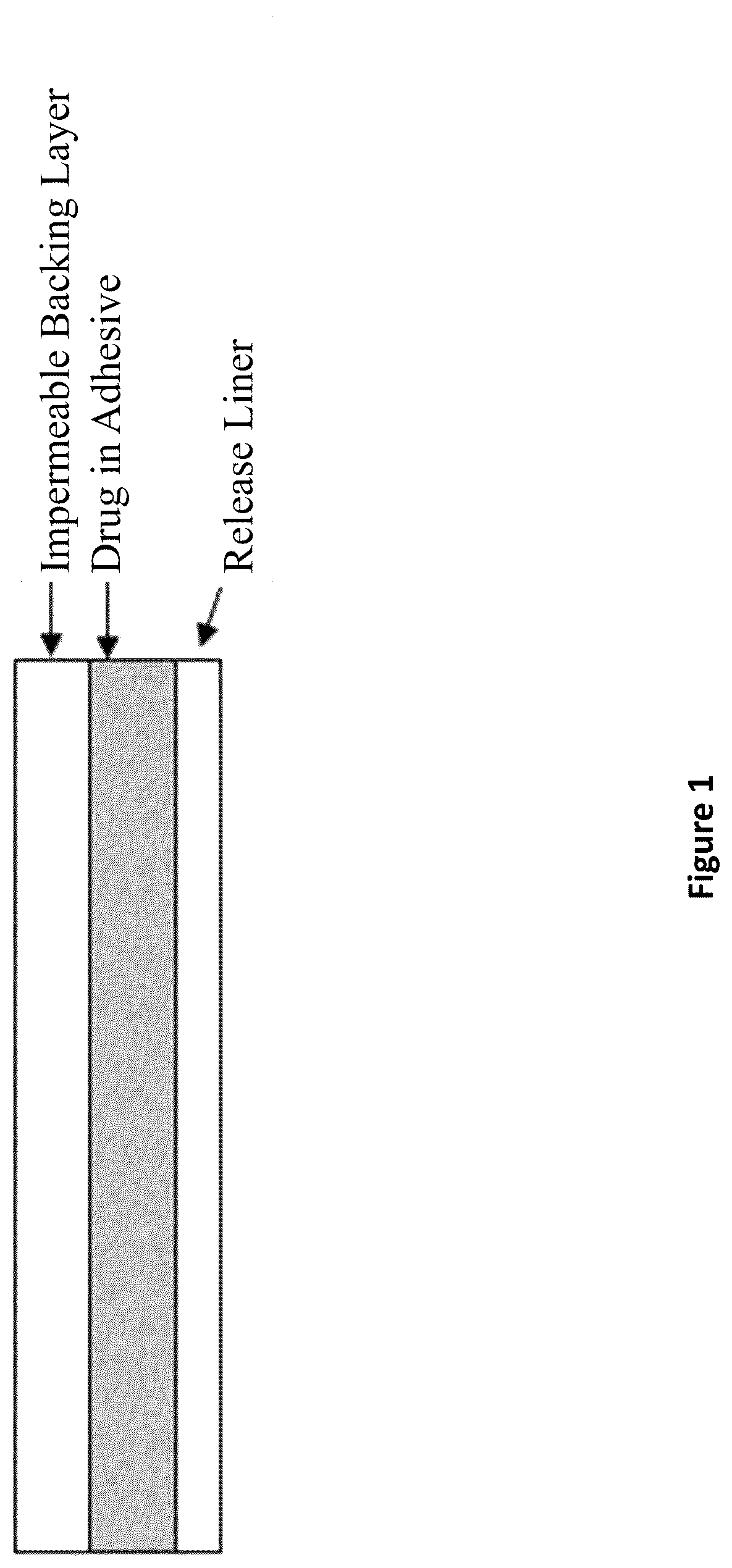 Patent US12303491 Figure 1 – Econazole nitrate medical patch and methods of use thereof