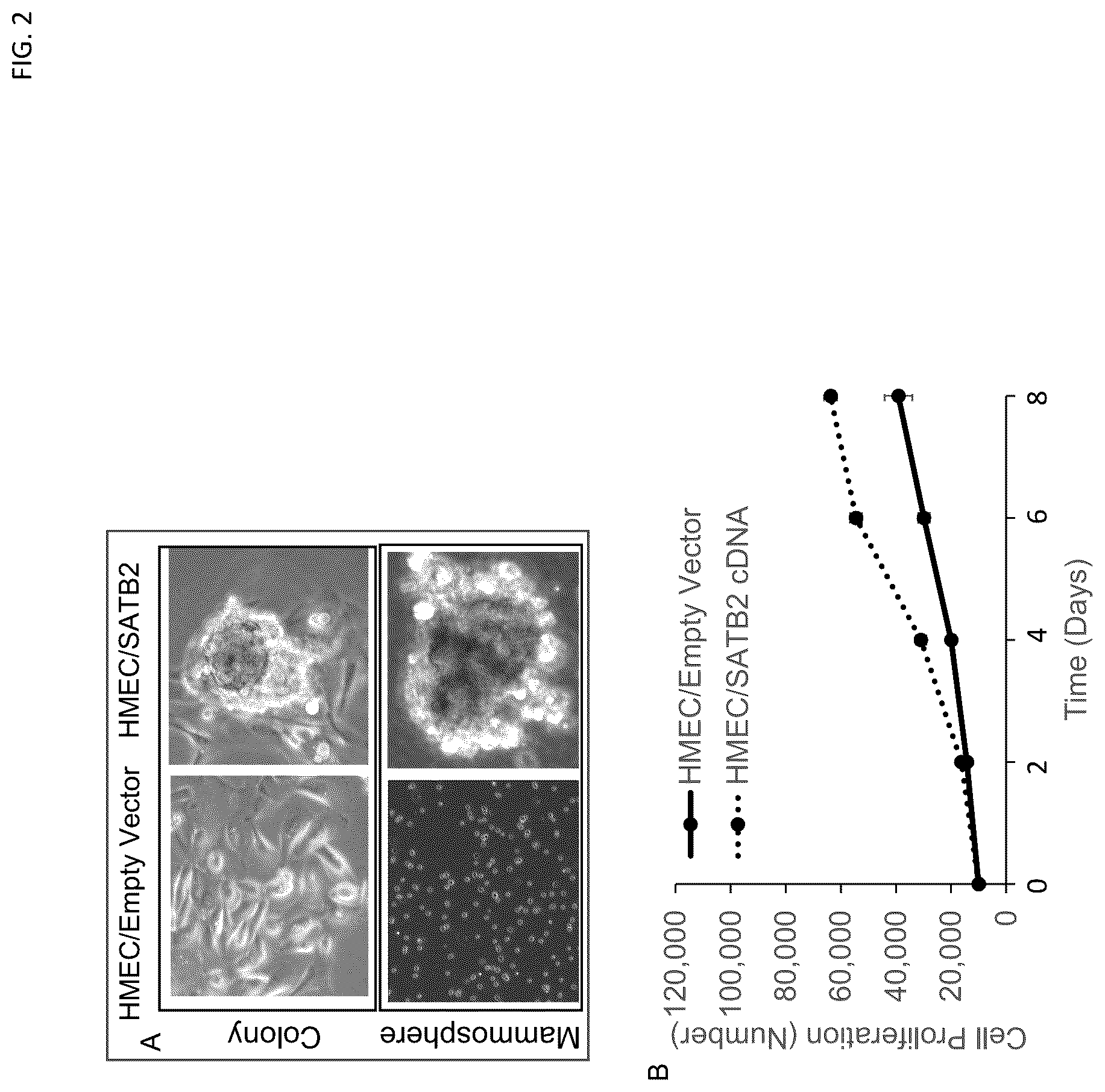 Patent US12303494 Figure 2 – Compositions and methods for monitoring, diagnosis, prognosis, detection, and treatment of cancer