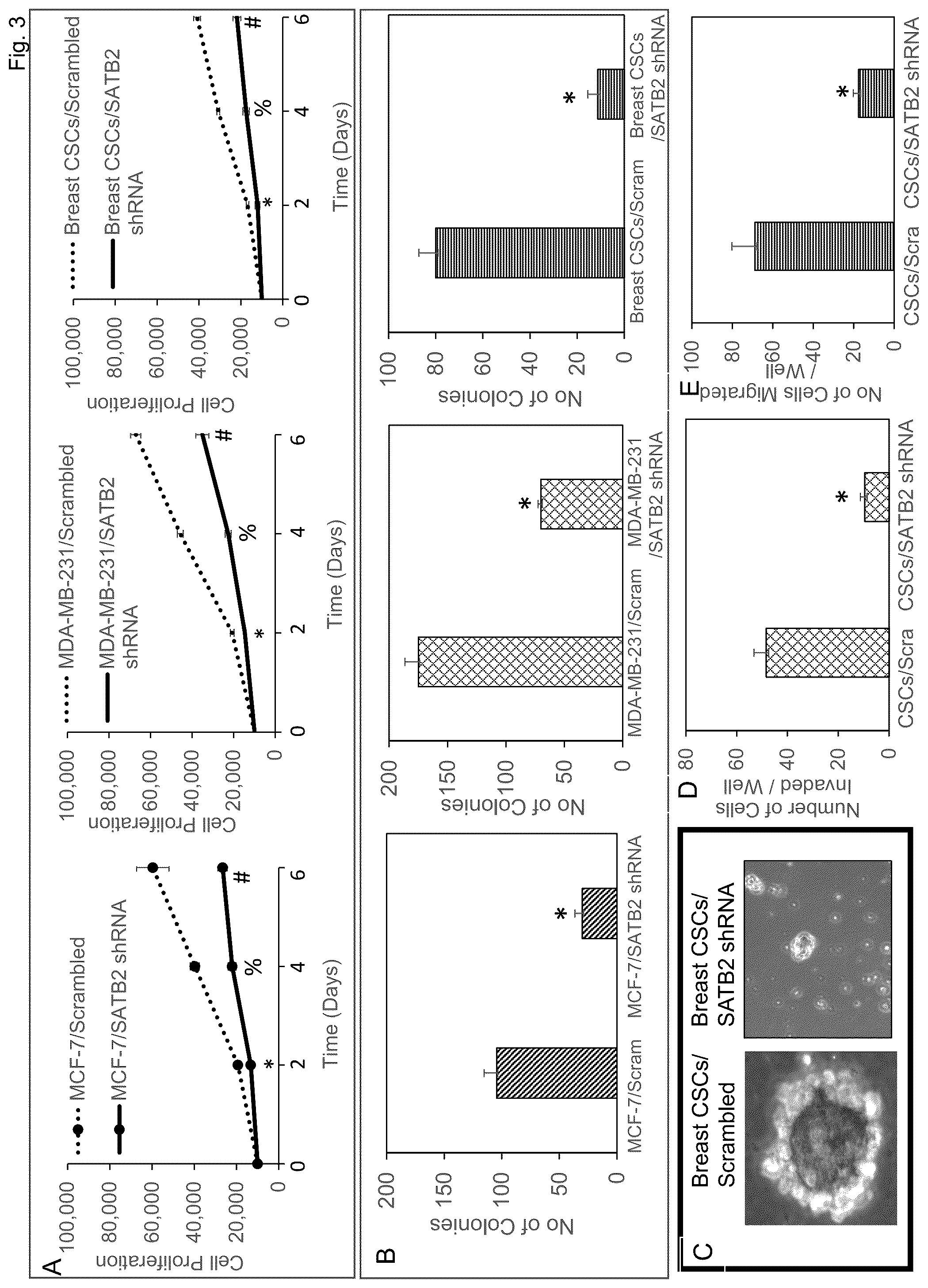 Patent US12303494 Figure 3 – Compositions and methods for monitoring, diagnosis, prognosis, detection, and treatment of cancer