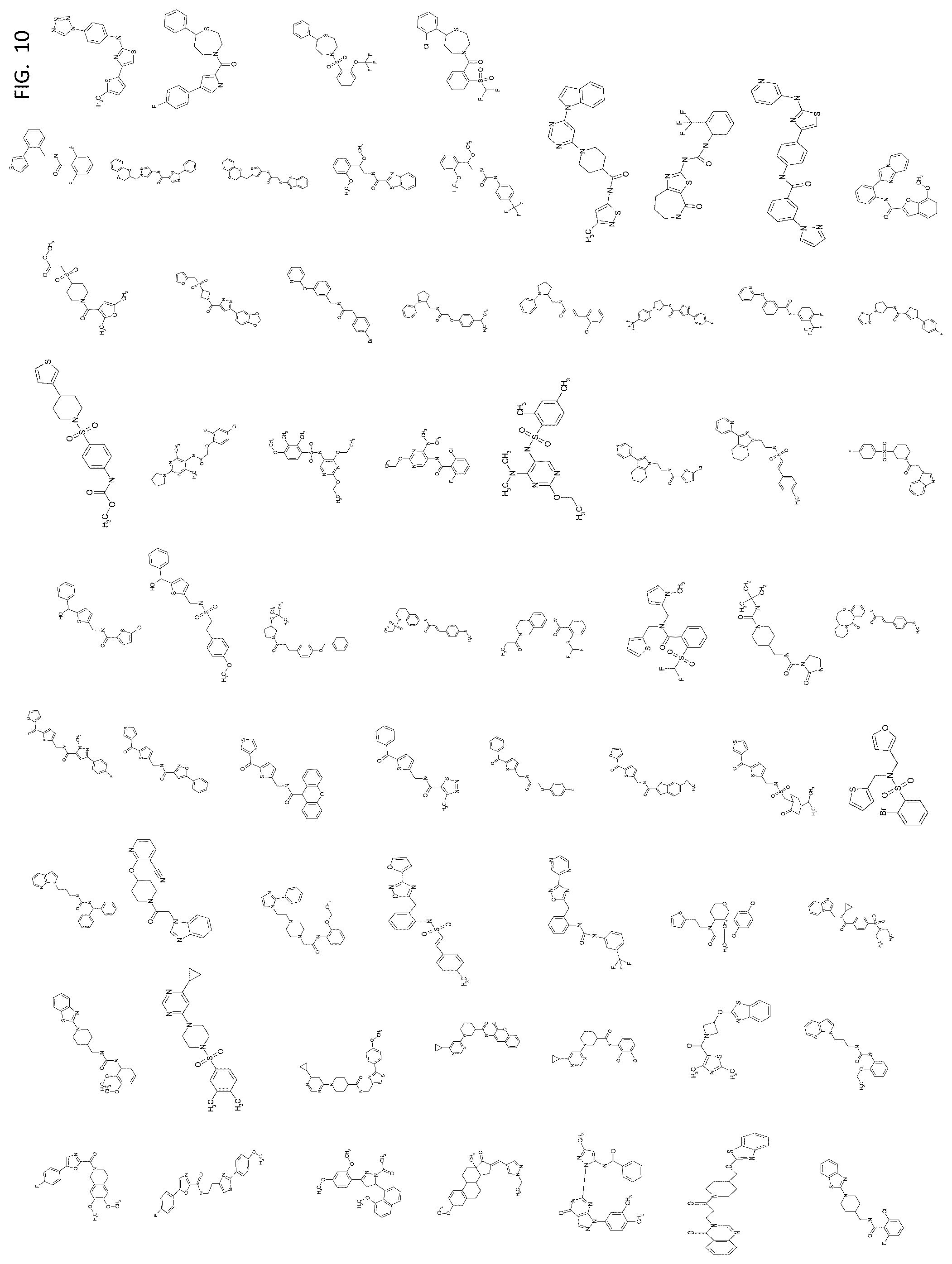 Patent US12303494 Figure 10 – Compositions and methods for monitoring, diagnosis, prognosis, detection, and treatment of cancer