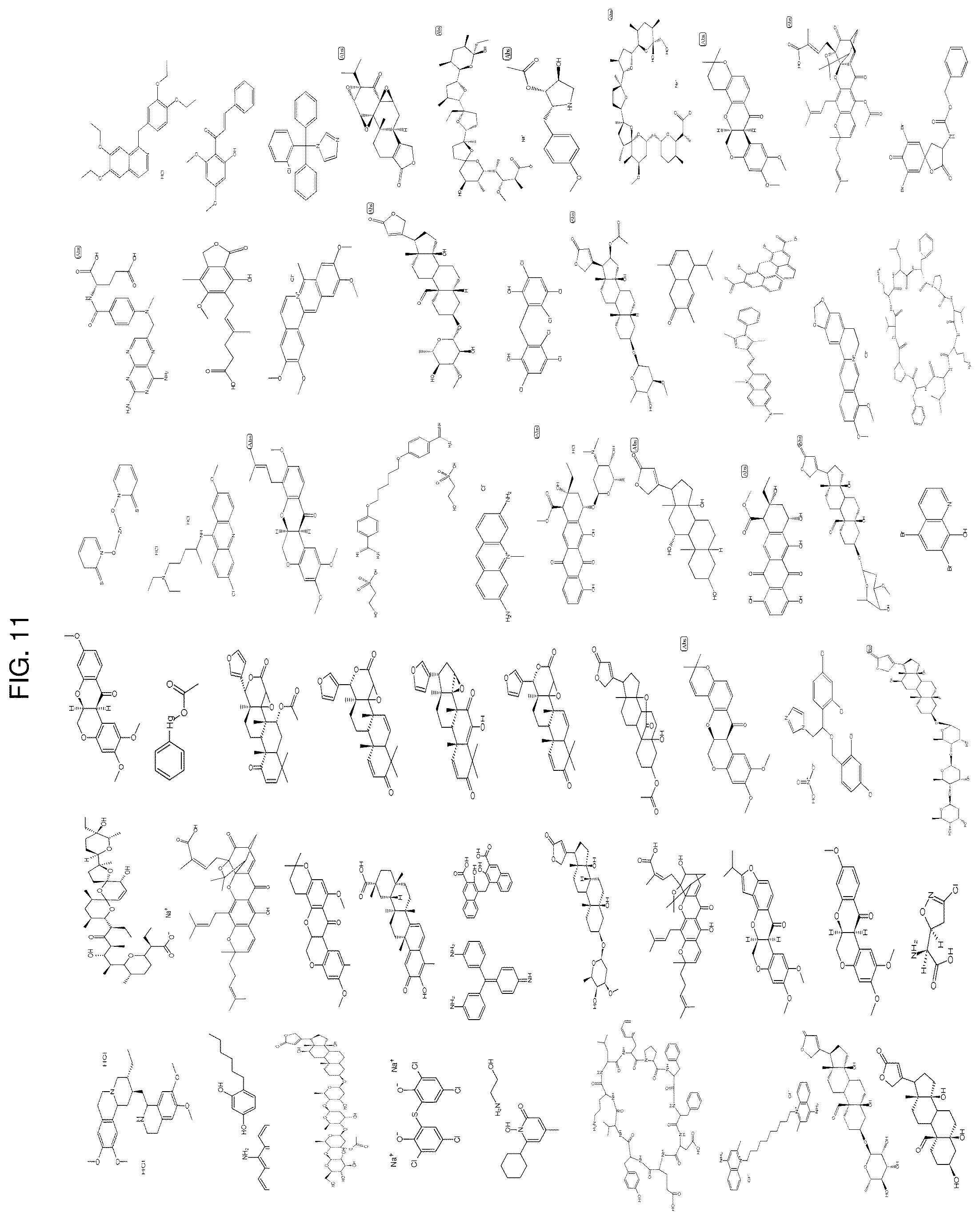 Patent US12303494 Figure 11 – Compositions and methods for monitoring, diagnosis, prognosis, detection, and treatment of cancer