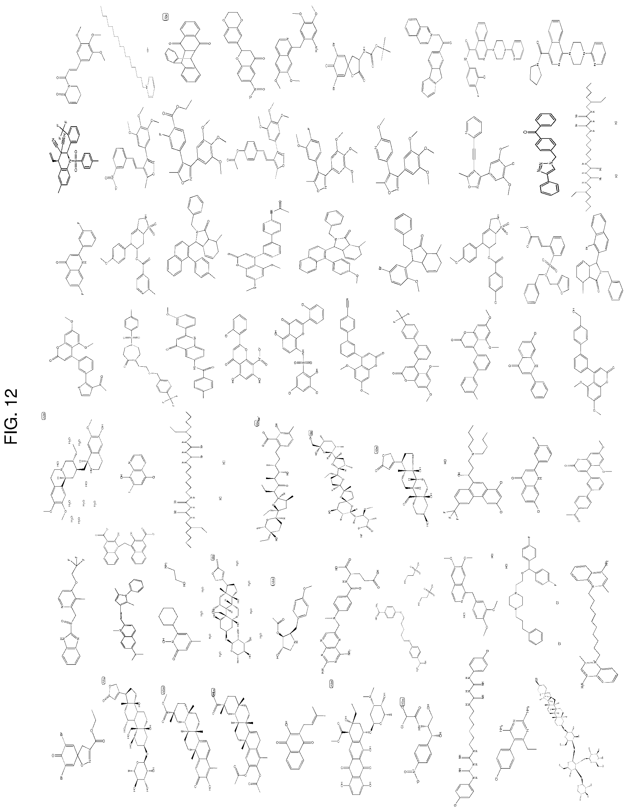 Patent US12303494 Figure 12 – Compositions and methods for monitoring, diagnosis, prognosis, detection, and treatment of cancer