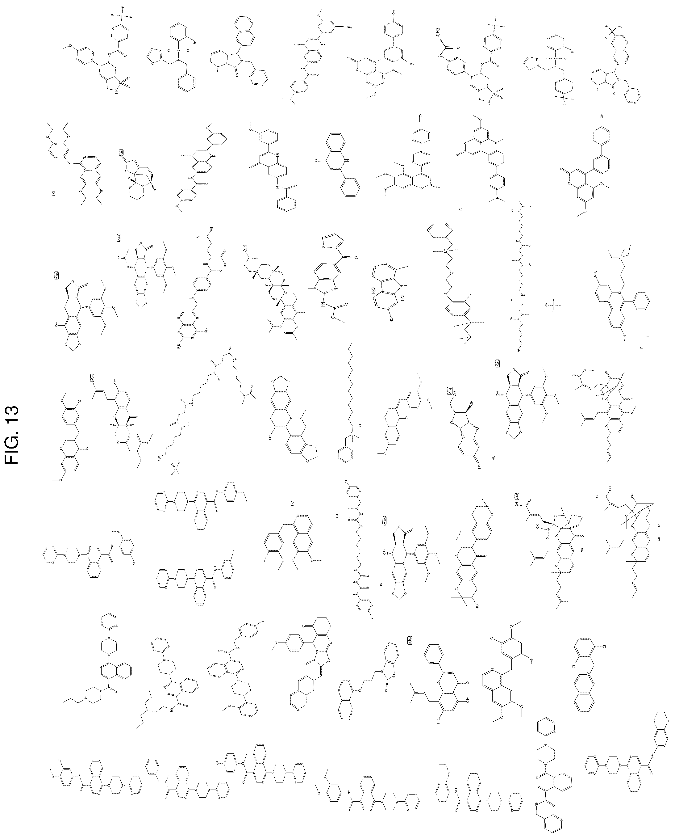 Patent US12303494 Figure 13 – Compositions and methods for monitoring, diagnosis, prognosis, detection, and treatment of cancer