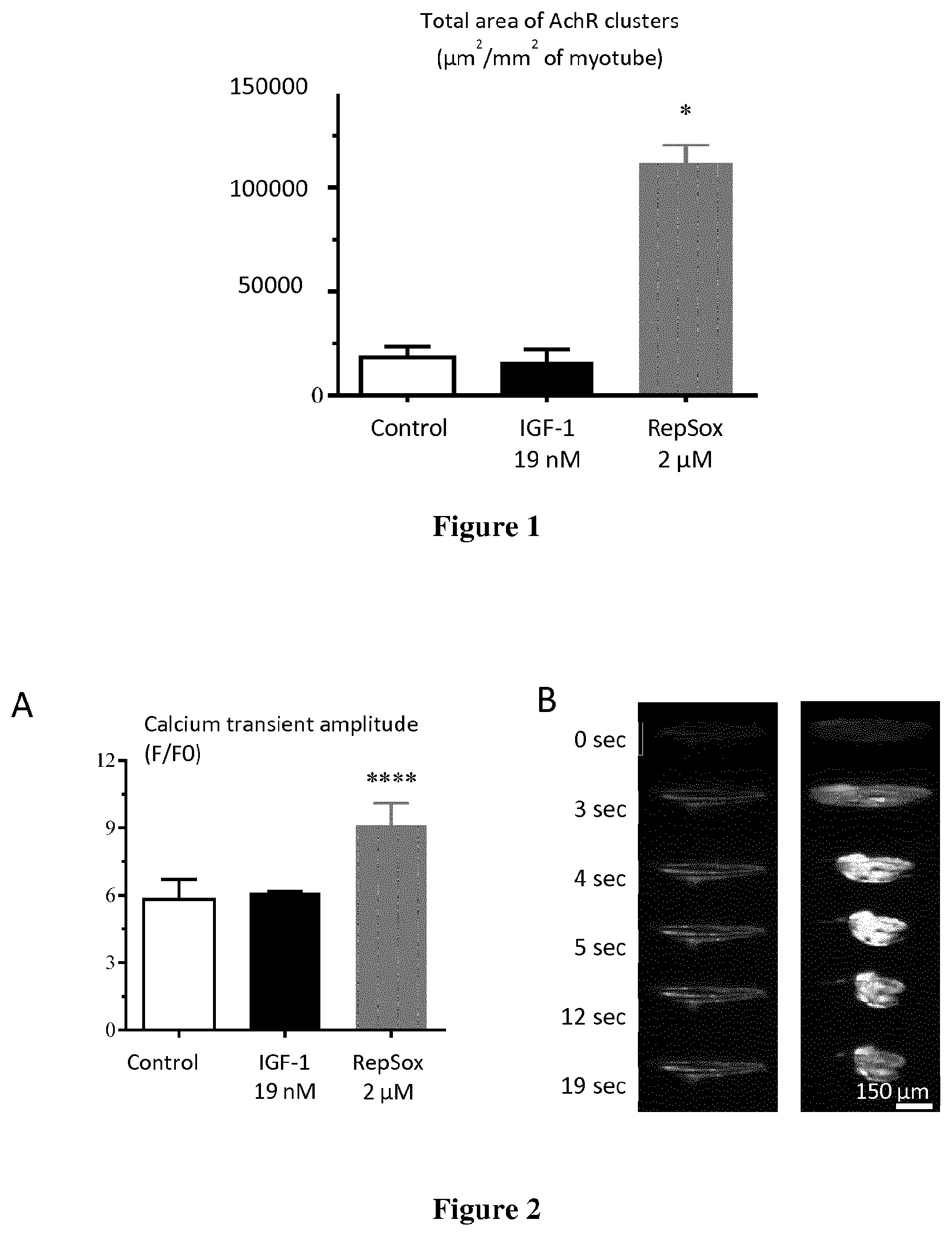 Patent US12303498 Figure 1 – ALK5 inhibitors as skeletal muscle hypertrophy inducers