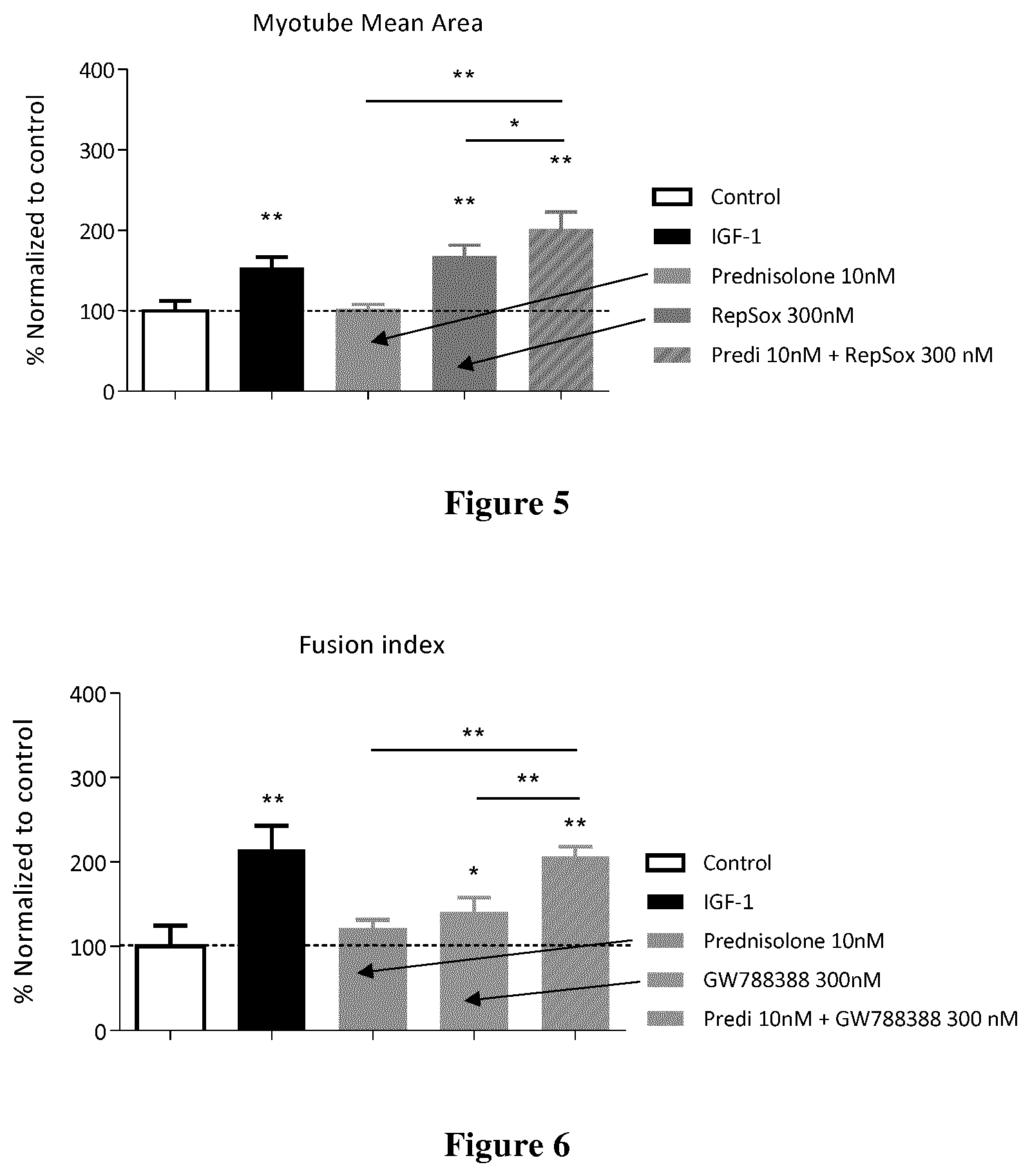 Patent US12303498 Figure 3 – ALK5 inhibitors as skeletal muscle hypertrophy inducers