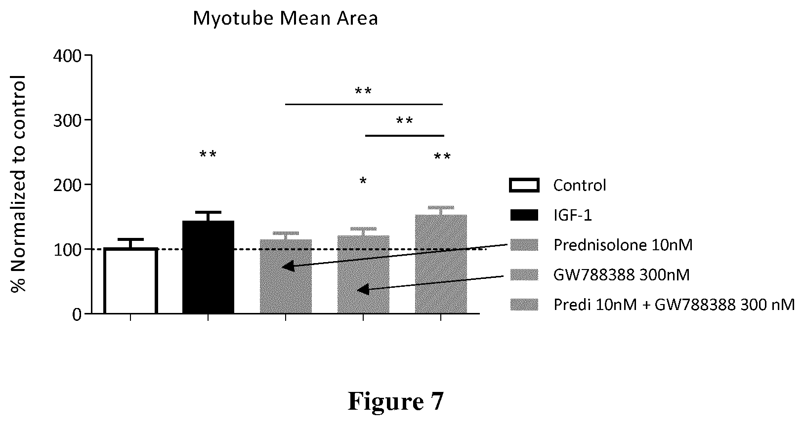 Patent US12303498 Figure 4 – ALK5 inhibitors as skeletal muscle hypertrophy inducers