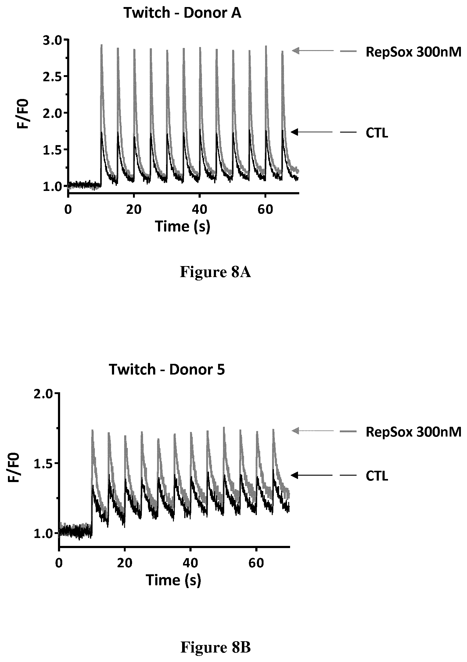 Patent US12303498 Figure 5 – ALK5 inhibitors as skeletal muscle hypertrophy inducers