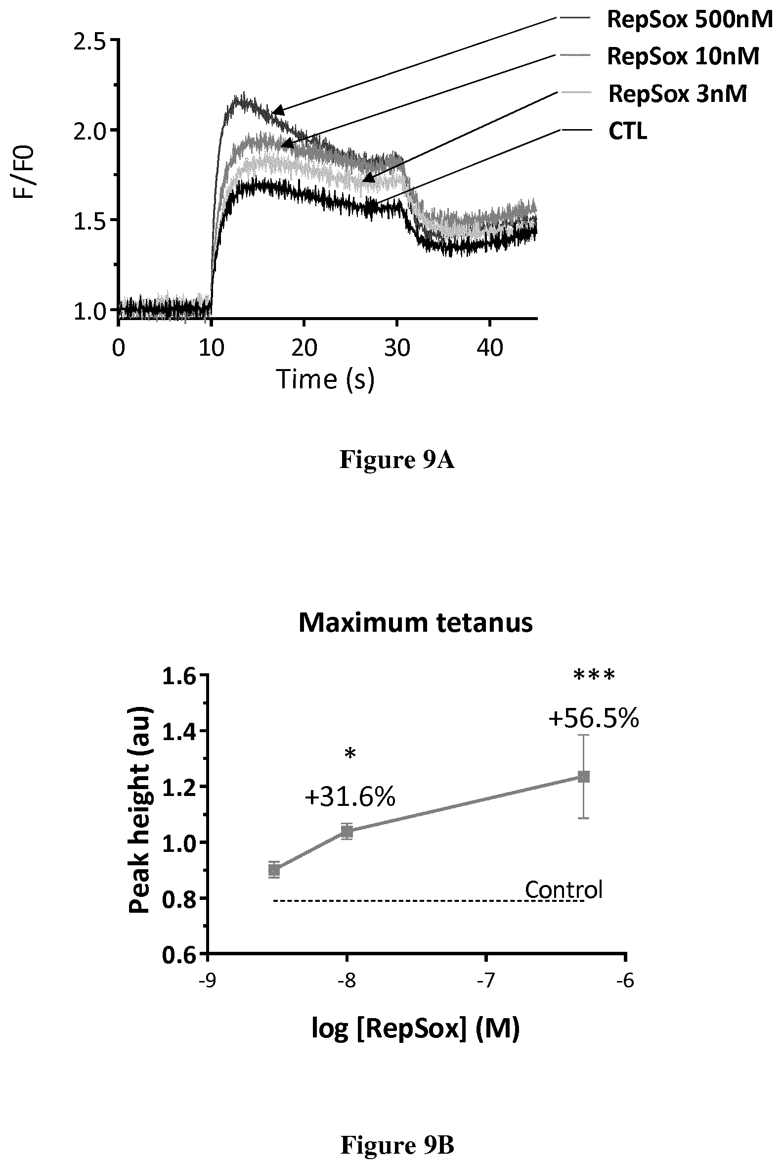 Patent US12303498 Figure 6 – ALK5 inhibitors as skeletal muscle hypertrophy inducers