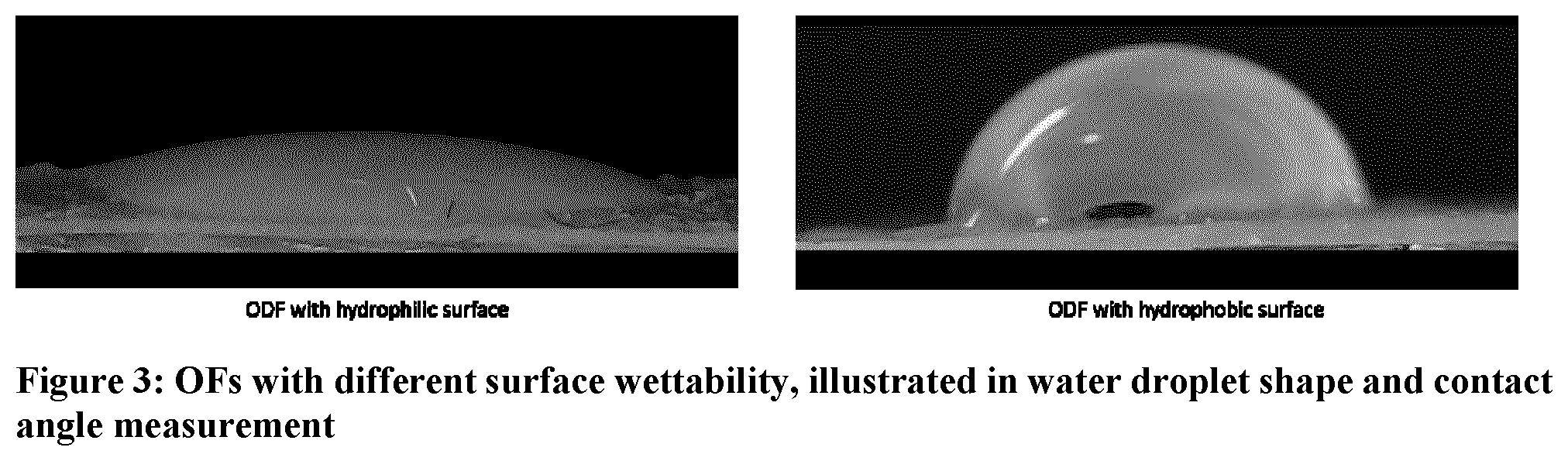 Patent US12303501 Figure 4 – Lipophilic active oral film formulation and method of making the same