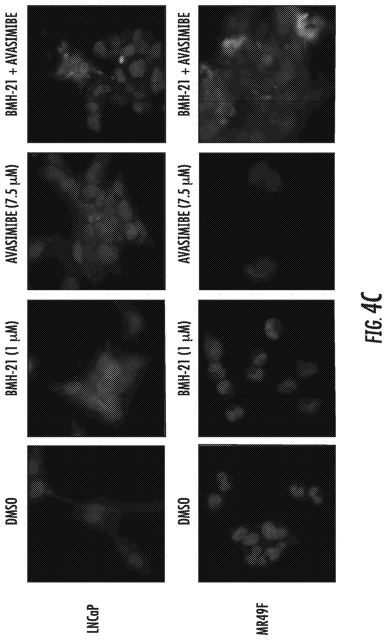 Patent US12303508 Figure 8 – Combinatory treatment strategies of cancer based on RNA polymerase I inhibition