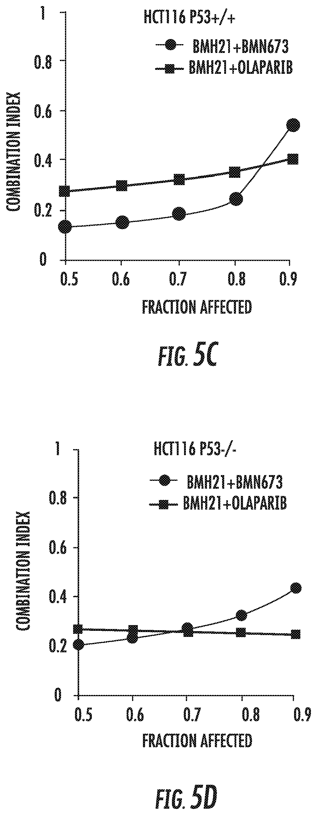 Patent US12303508 Figure 10 – Combinatory treatment strategies of cancer based on RNA polymerase I inhibition