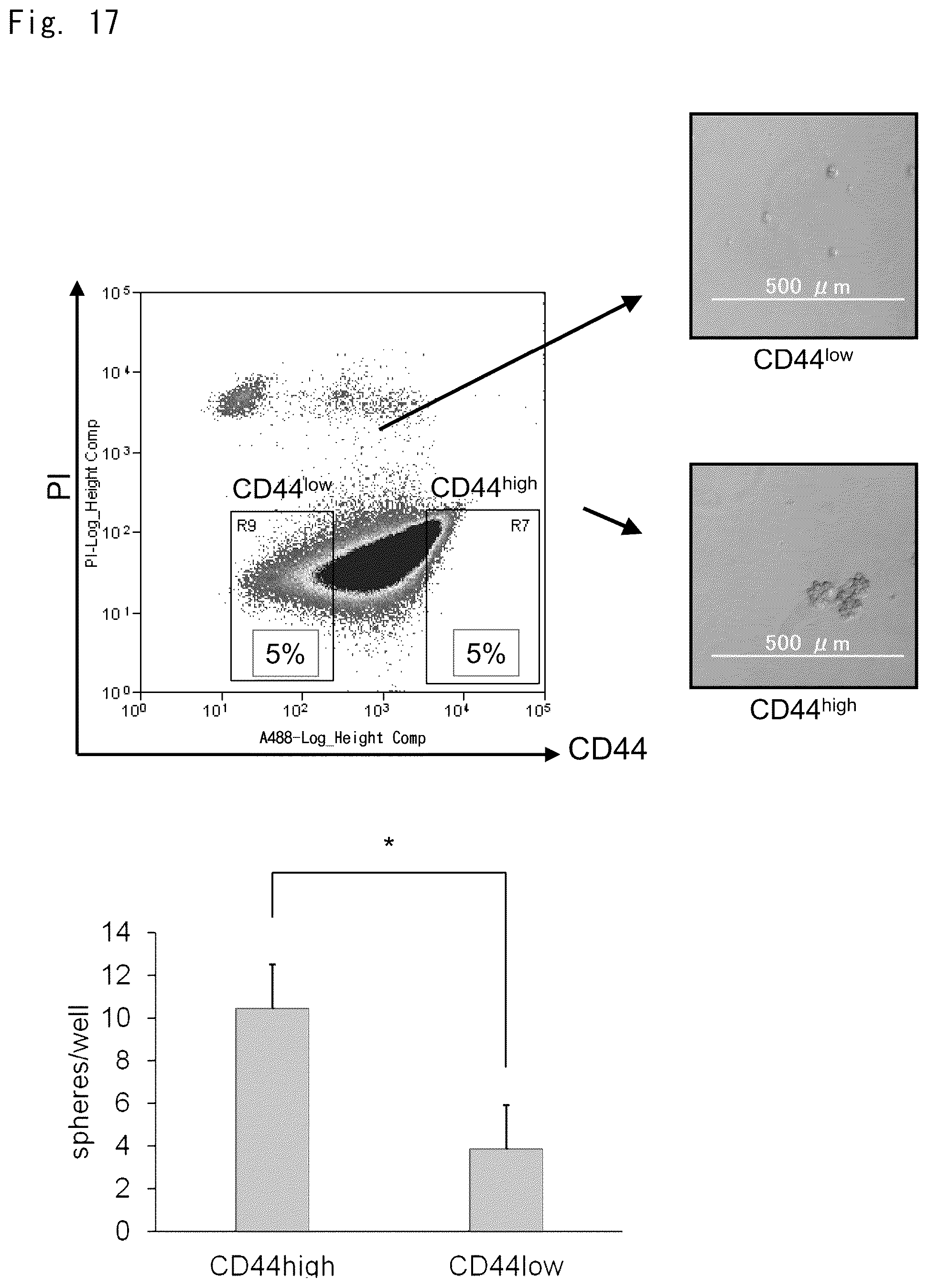 Patent US12303510 Figure 13 – Inhibitory effect of low molecular weight compound on cancer and fibrosis