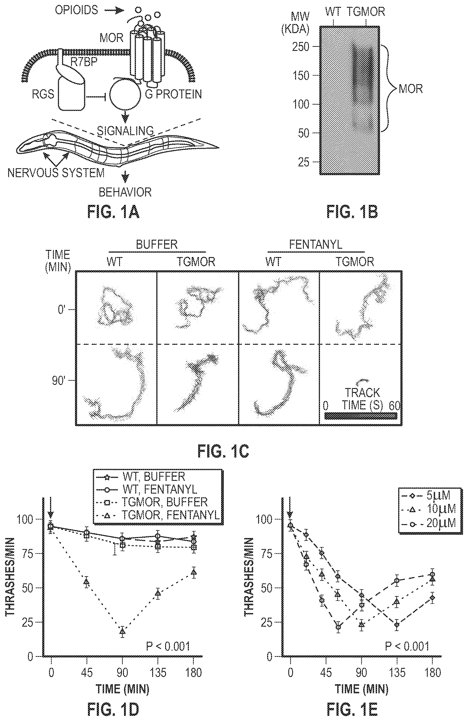 Patent US12303511 Figure 1 – Methods related to opioid therapeutics
