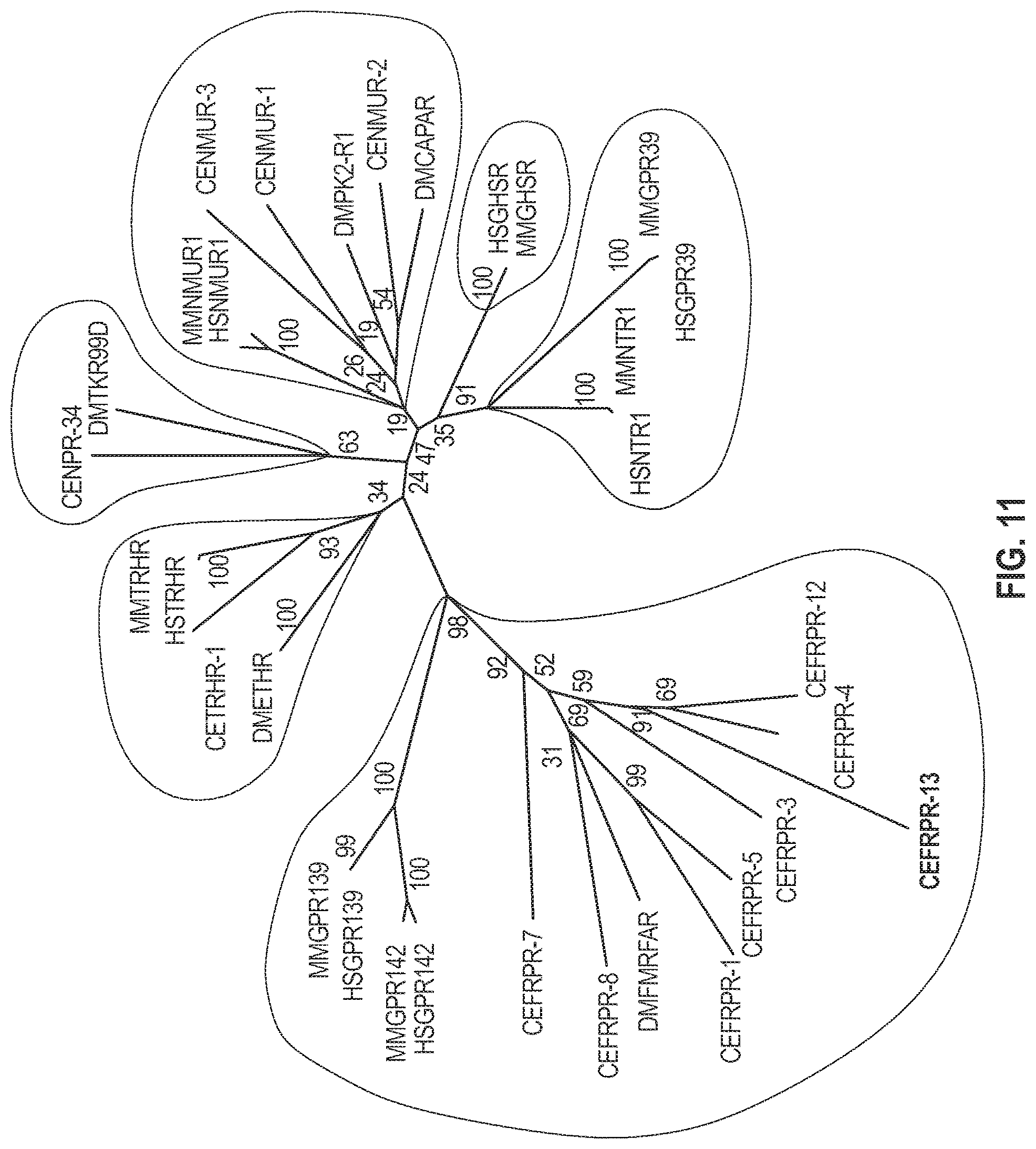 Patent US12303511 Figure 11 – Methods related to opioid therapeutics