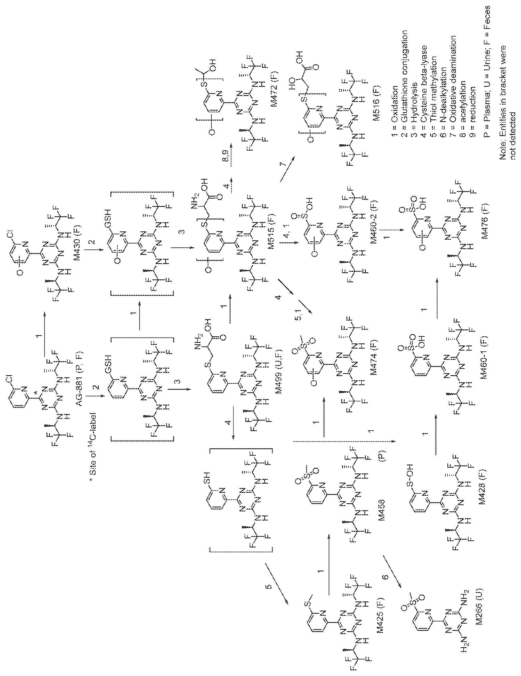 Patent US12303512 Figure 1 – Therapeutically active compounds and their methods of use