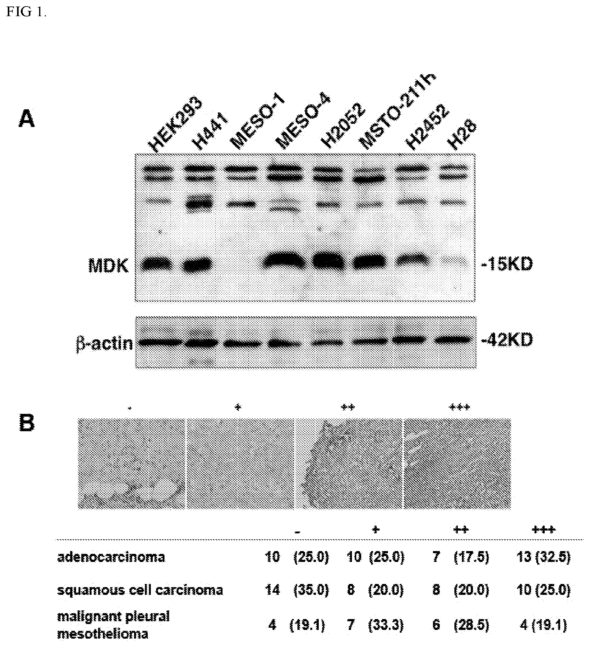 Patent US12303513 Figure 1 – Methods and compositions to treat cancer