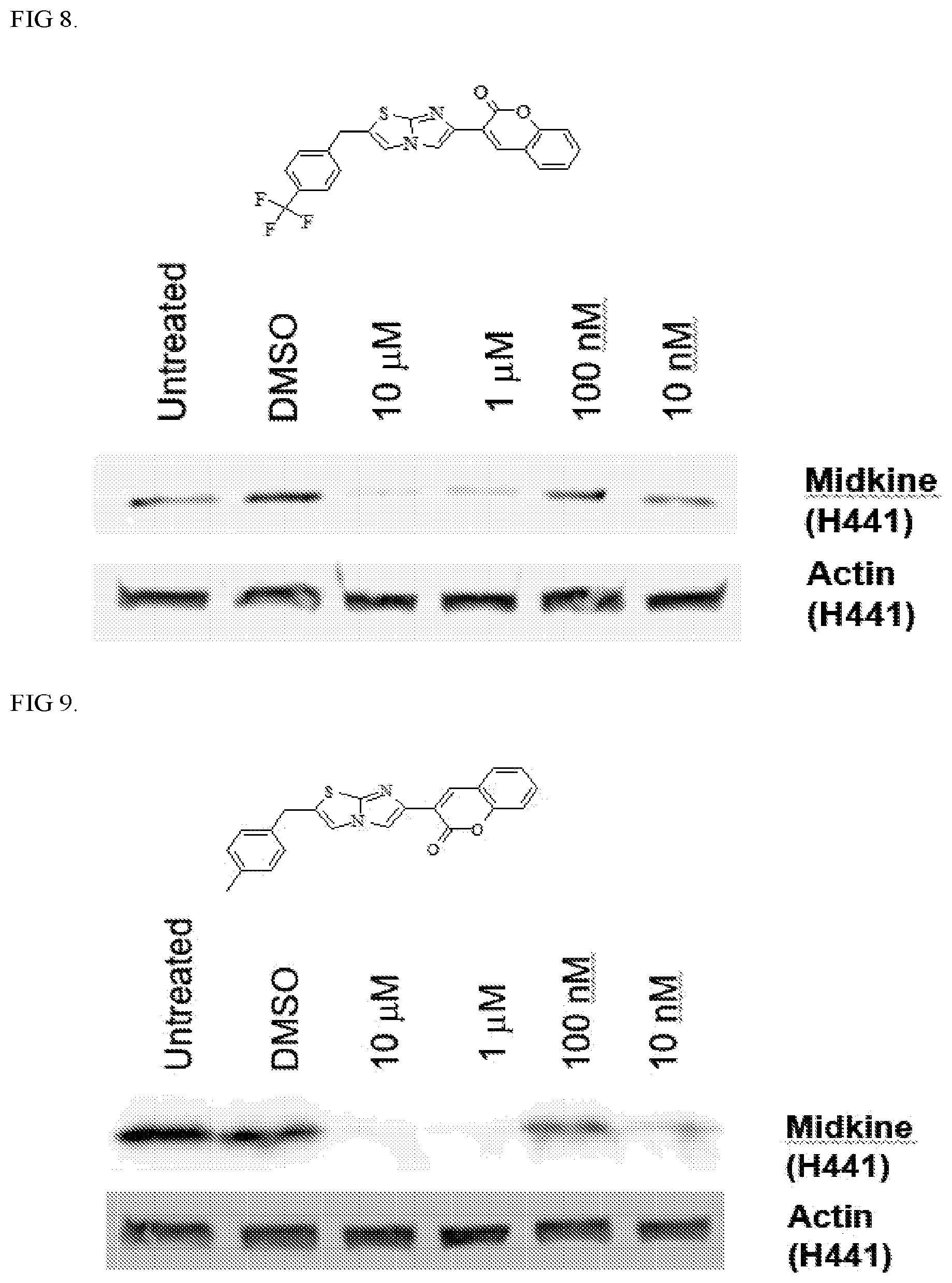 Patent US12303513 Figure 5 – Methods and compositions to treat cancer