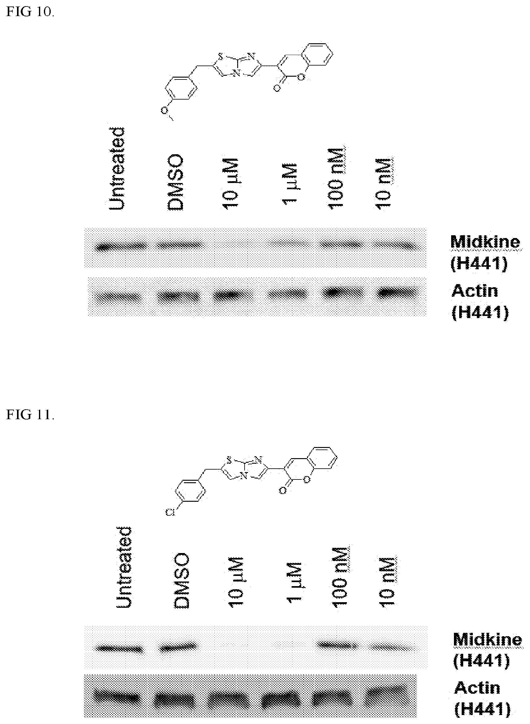 Patent US12303513 Figure 6 – Methods and compositions to treat cancer