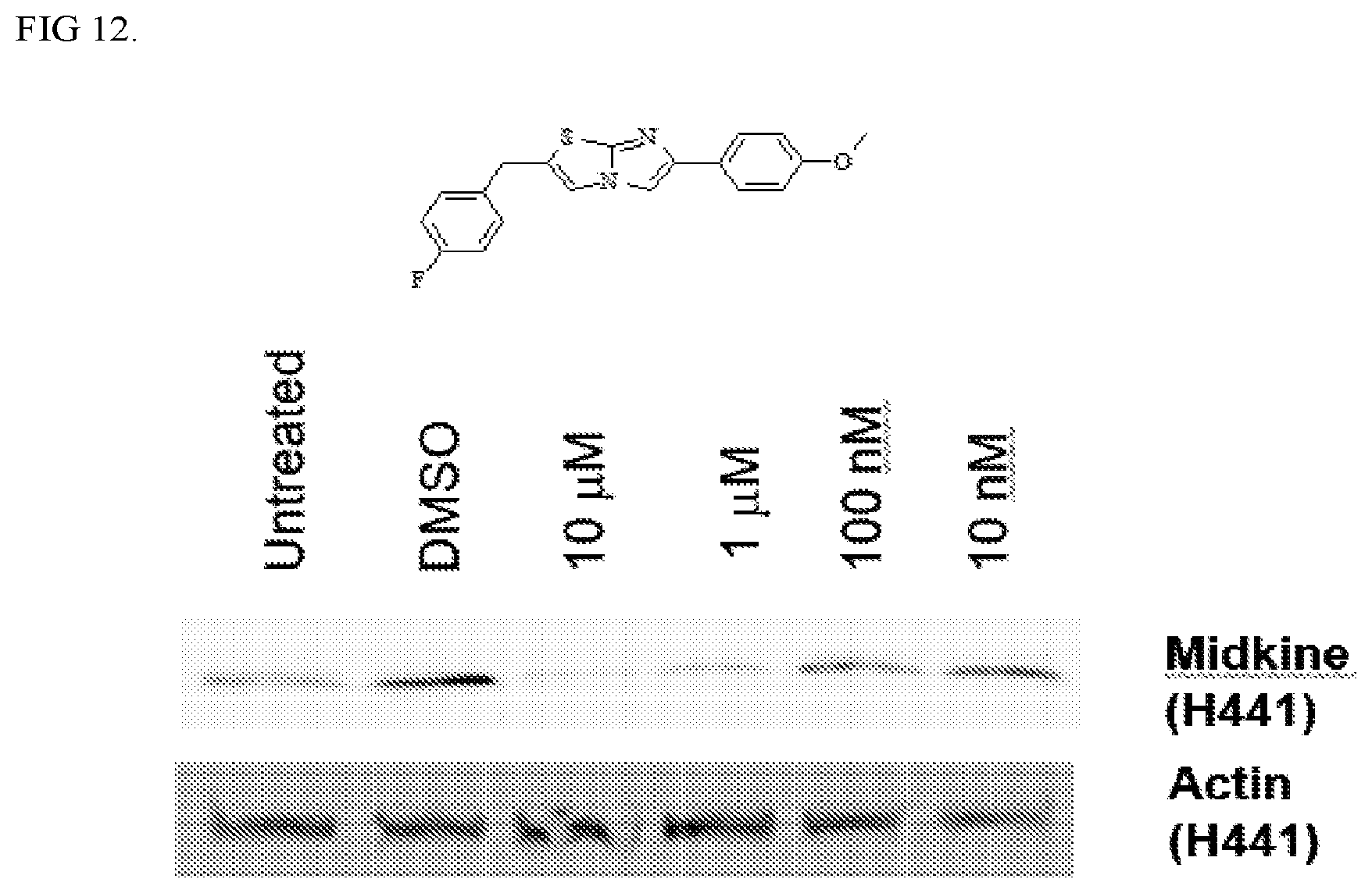 Patent US12303513 Figure 7 – Methods and compositions to treat cancer