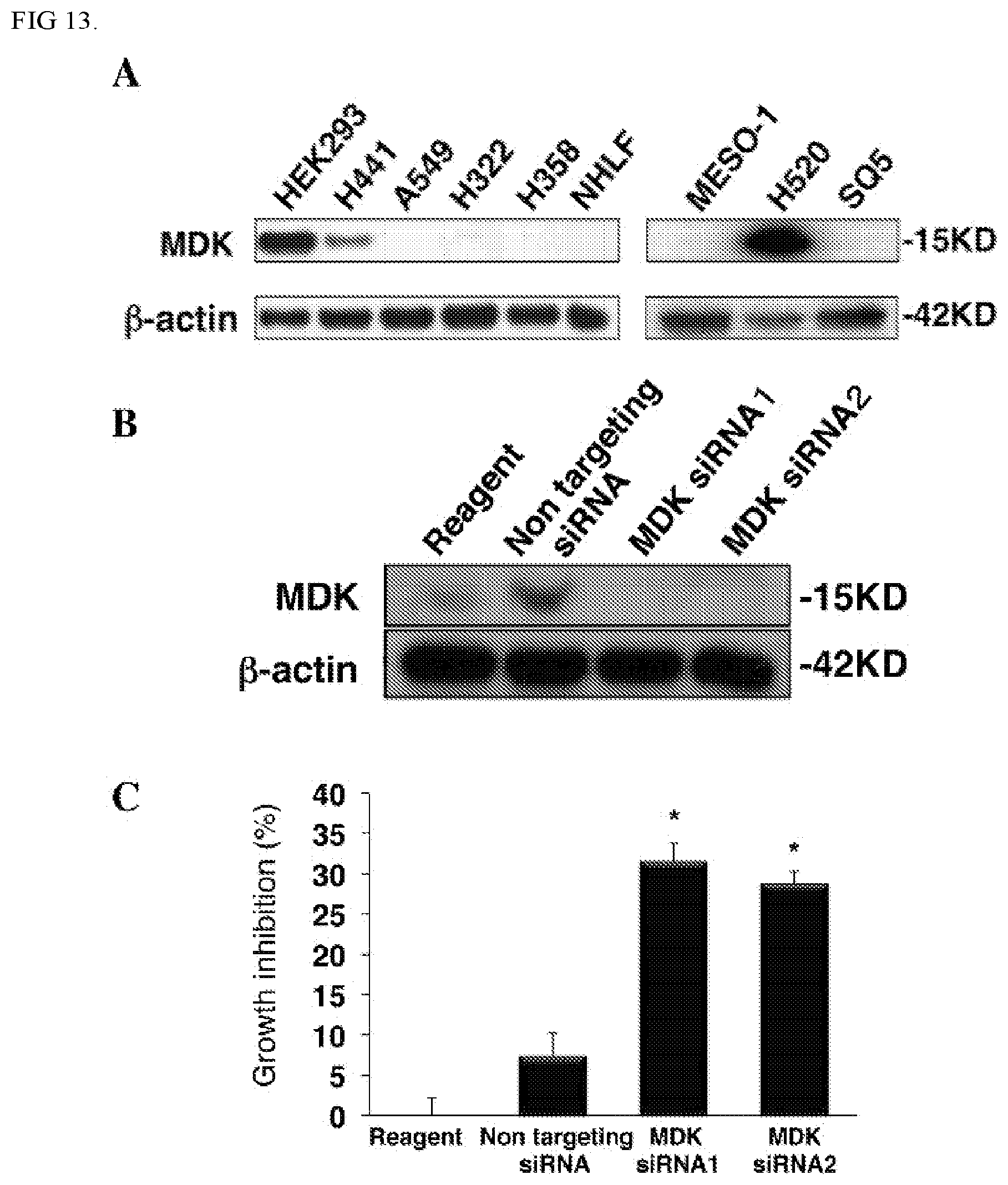 Patent US12303513 Figure 8 – Methods and compositions to treat cancer