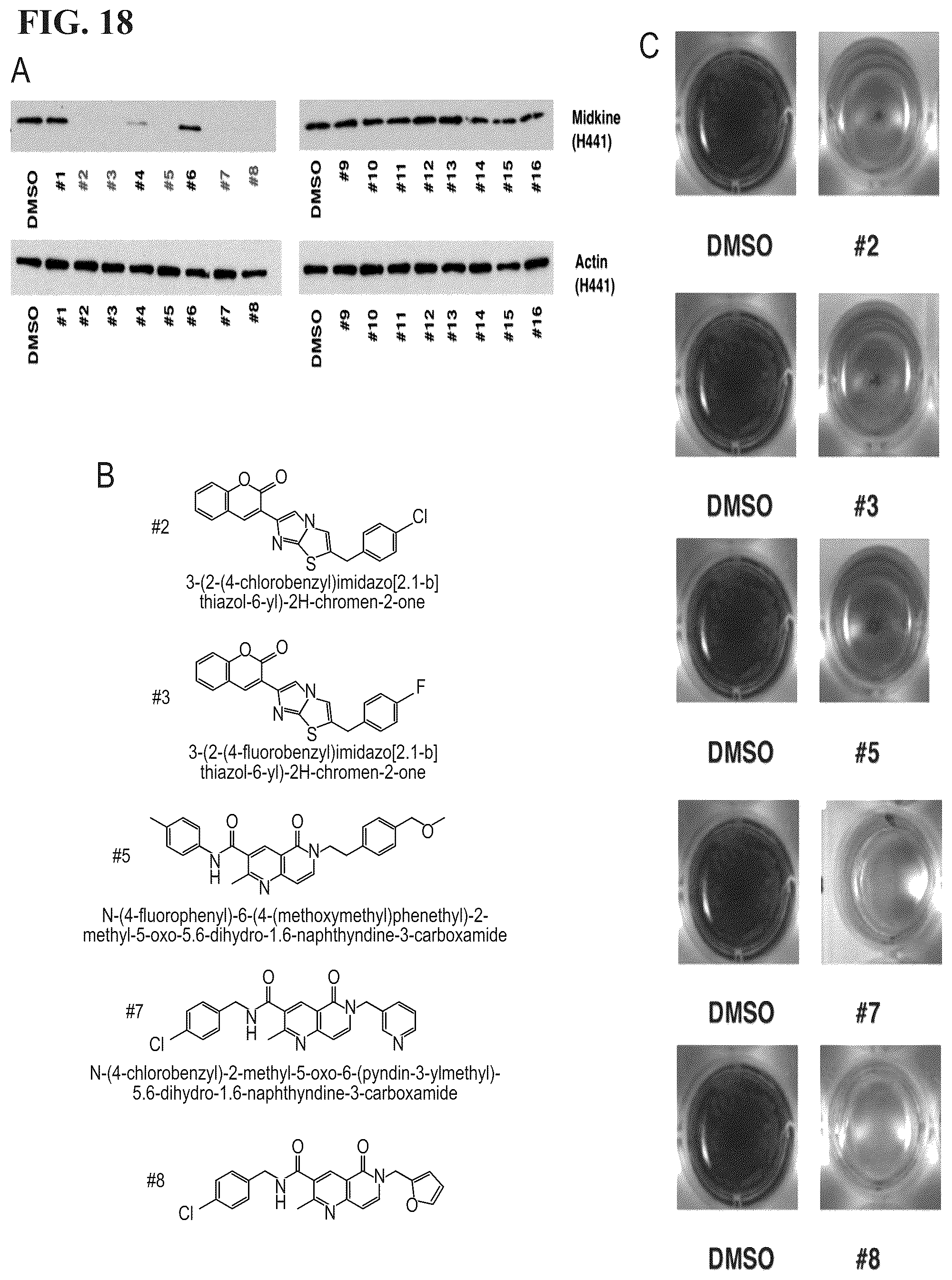 Patent US12303513 Figure 13 – Methods and compositions to treat cancer