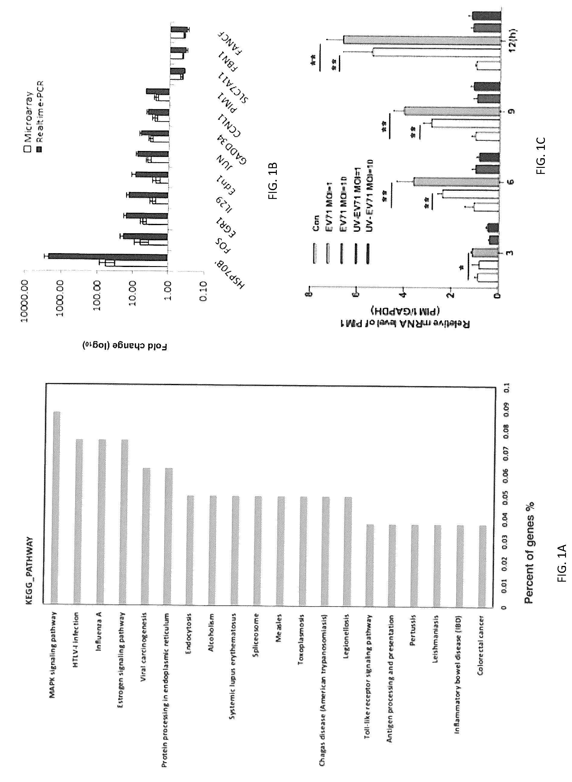 Patent US12303515 Figure 1 – PIM1 inhibitors for use in treatment of viral infection and pharmaceutical compositions thereof