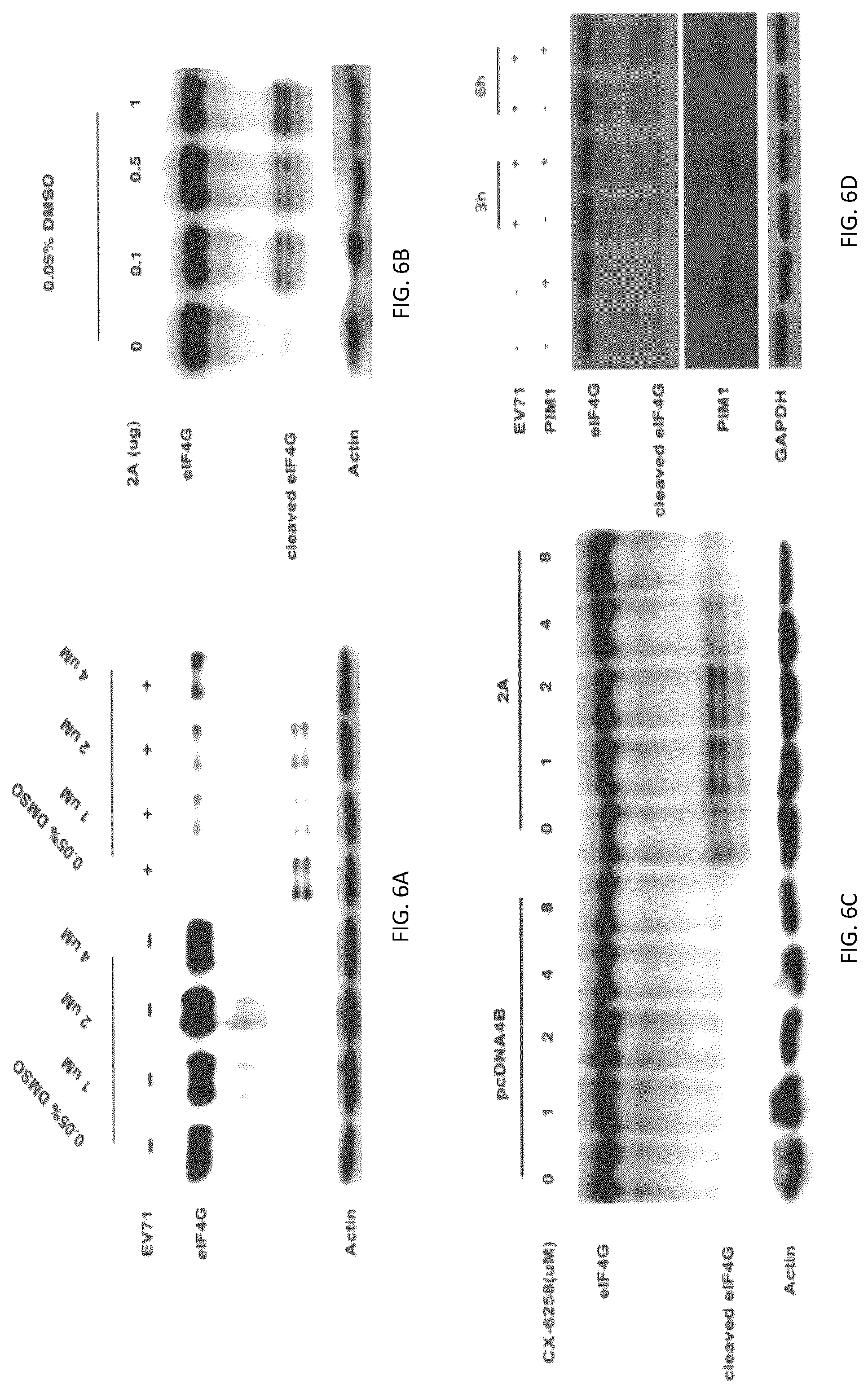 Patent US12303515 Figure 6 – PIM1 inhibitors for use in treatment of viral infection and pharmaceutical compositions thereof