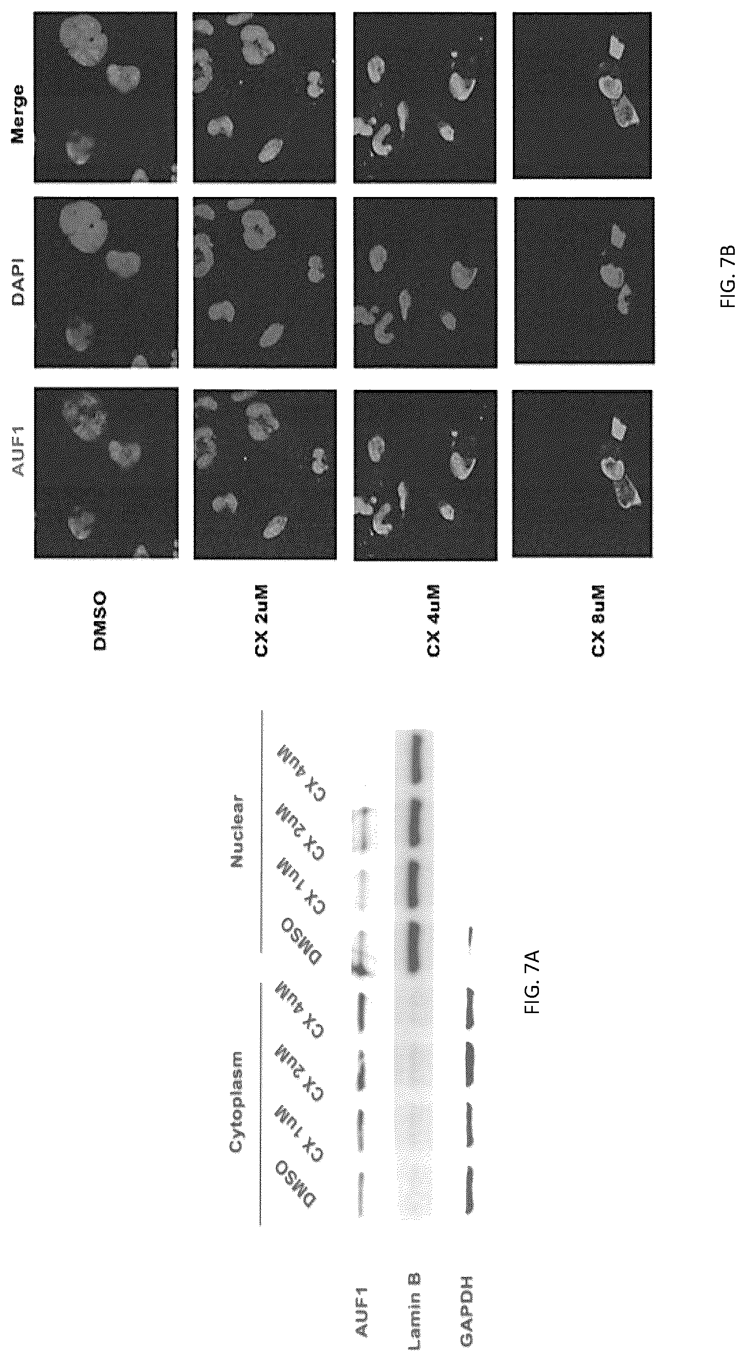Patent US12303515 Figure 7 – PIM1 inhibitors for use in treatment of viral infection and pharmaceutical compositions thereof