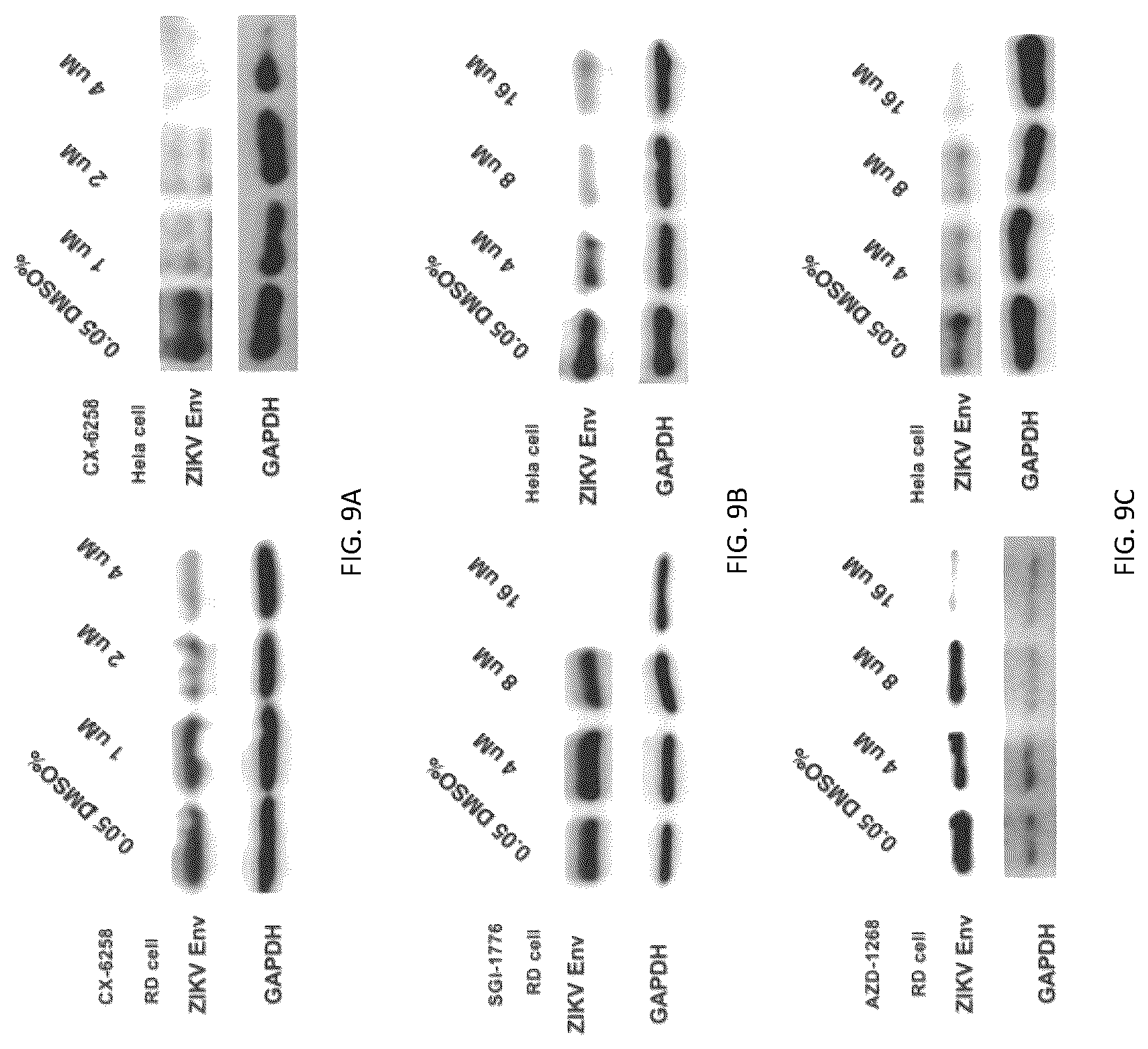 Patent US12303515 Figure 9 – PIM1 inhibitors for use in treatment of viral infection and pharmaceutical compositions thereof