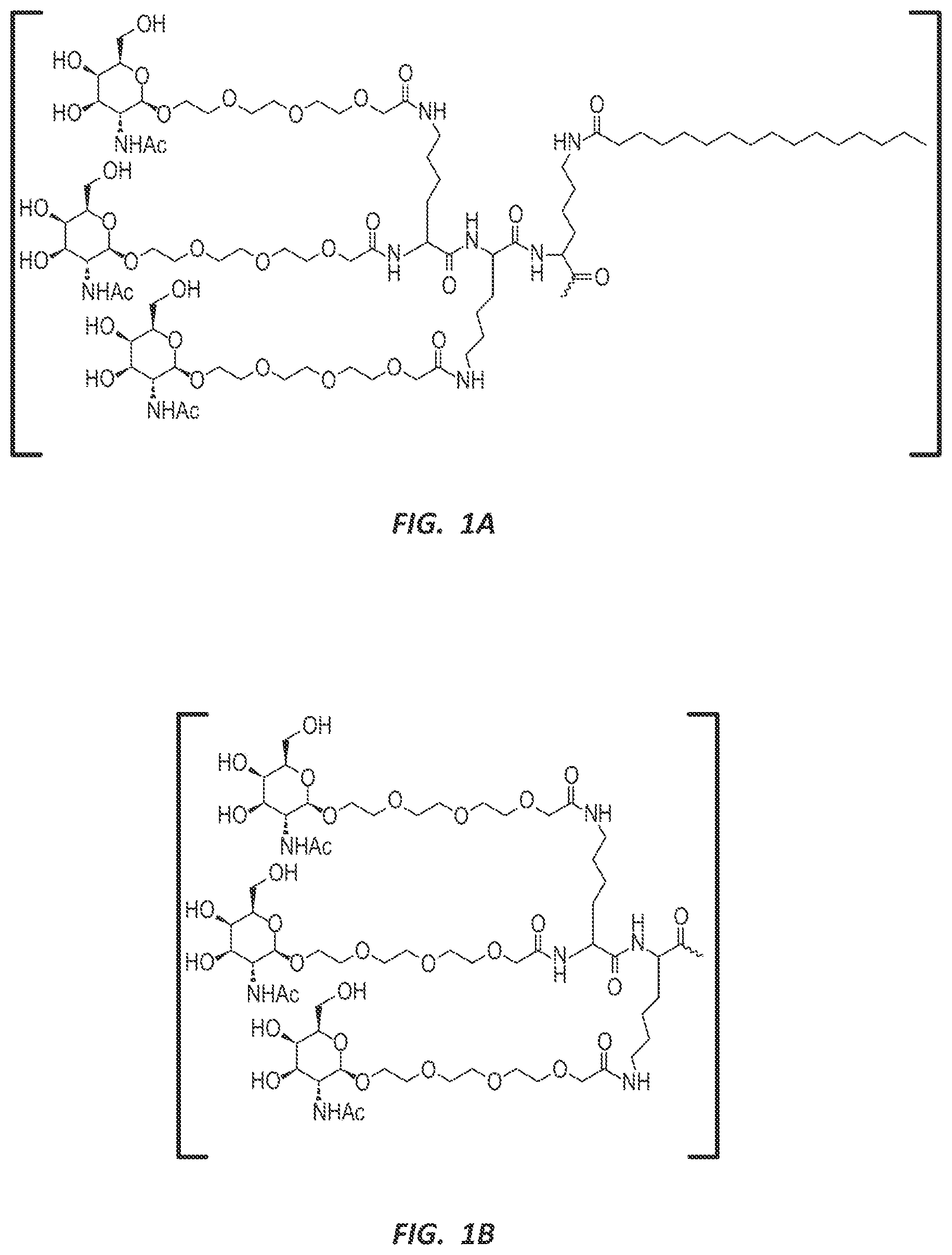 Patent US12303525 Figure 1 – Nucleic acid molecule for reduction of PAPD5 and PAPD7 mRNA for treating hepatitis B infection
