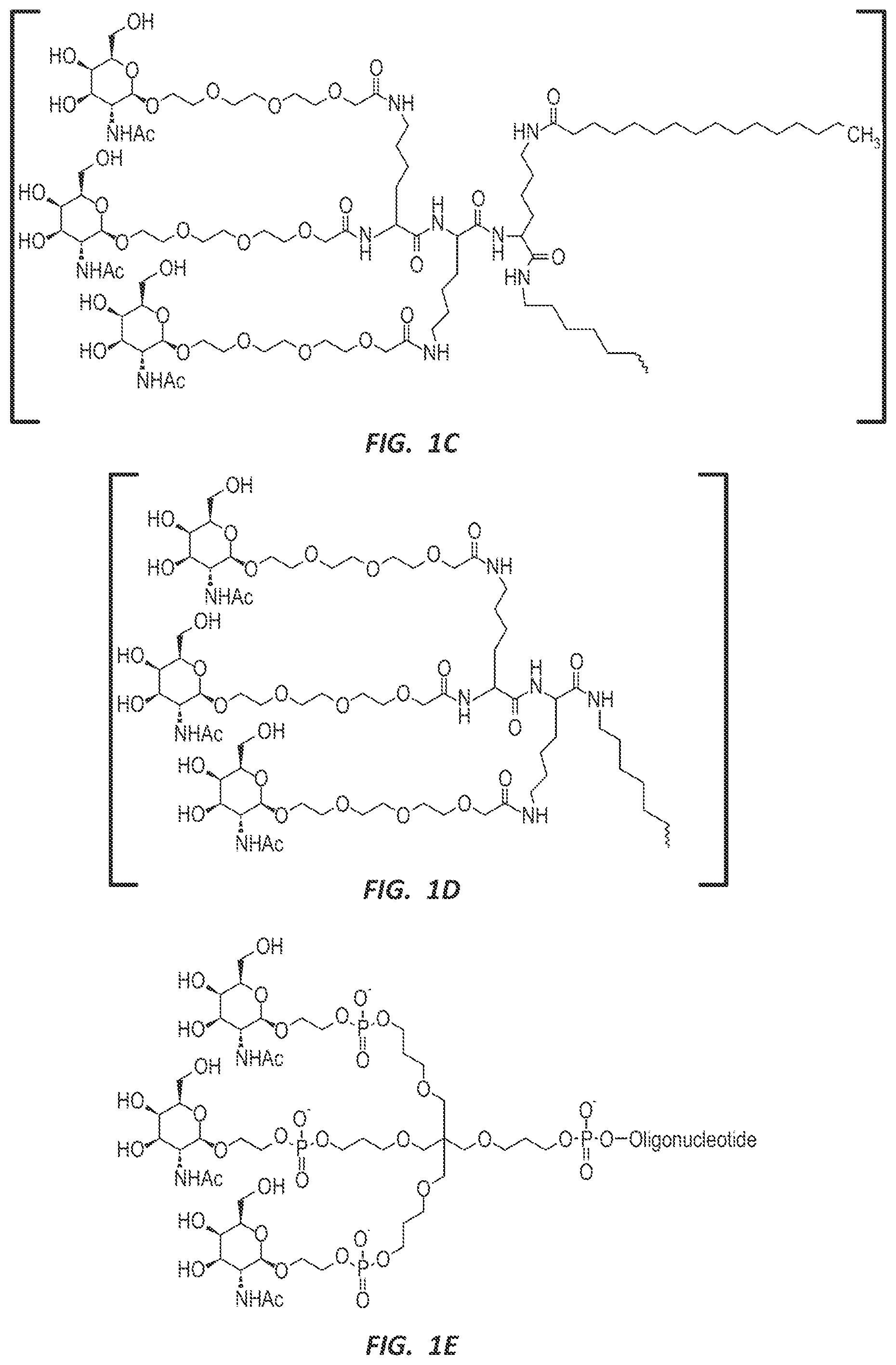 Patent US12303525 Figure 2 – Nucleic acid molecule for reduction of PAPD5 and PAPD7 mRNA for treating hepatitis B infection