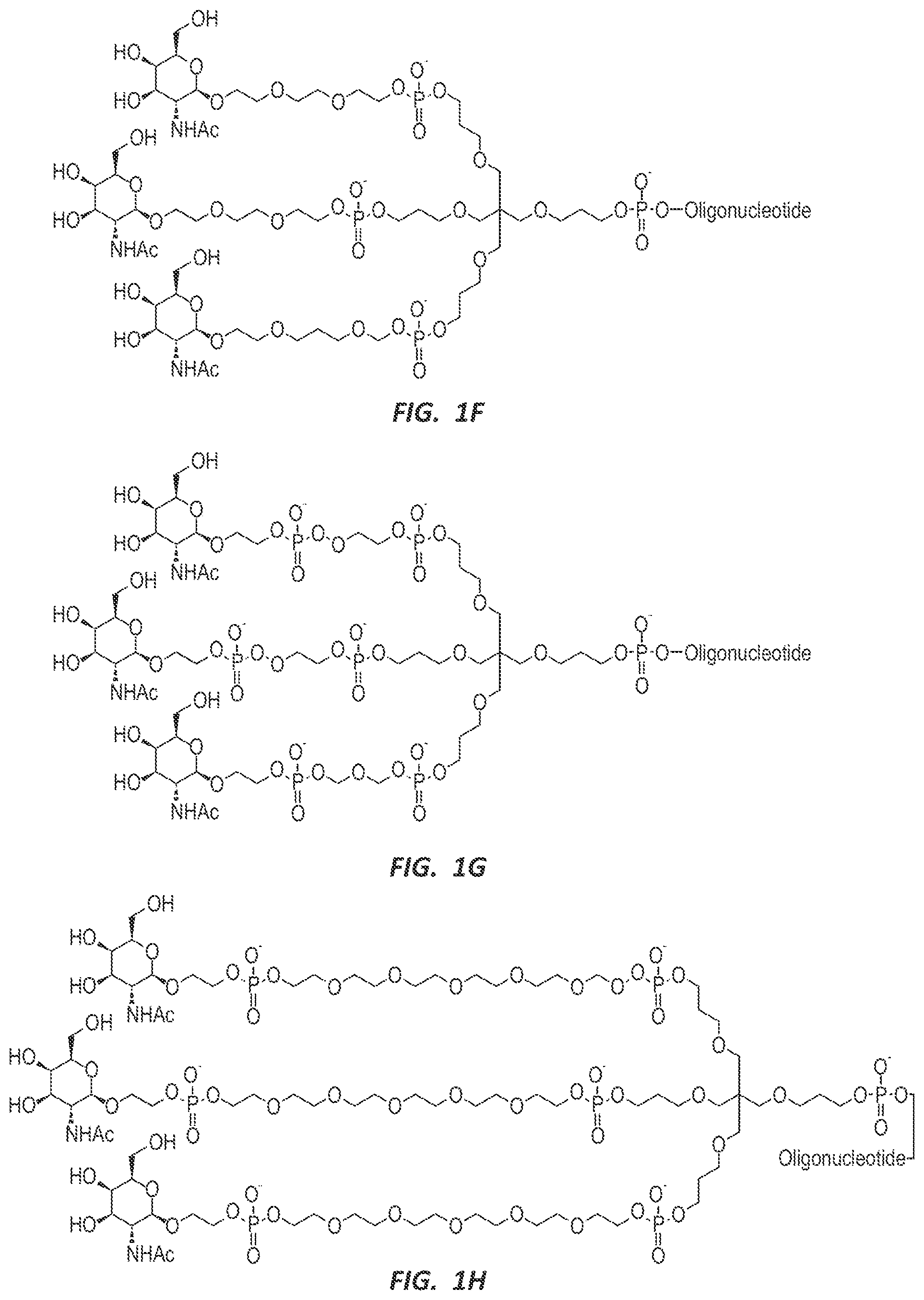 Patent US12303525 Figure 3 – Nucleic acid molecule for reduction of PAPD5 and PAPD7 mRNA for treating hepatitis B infection