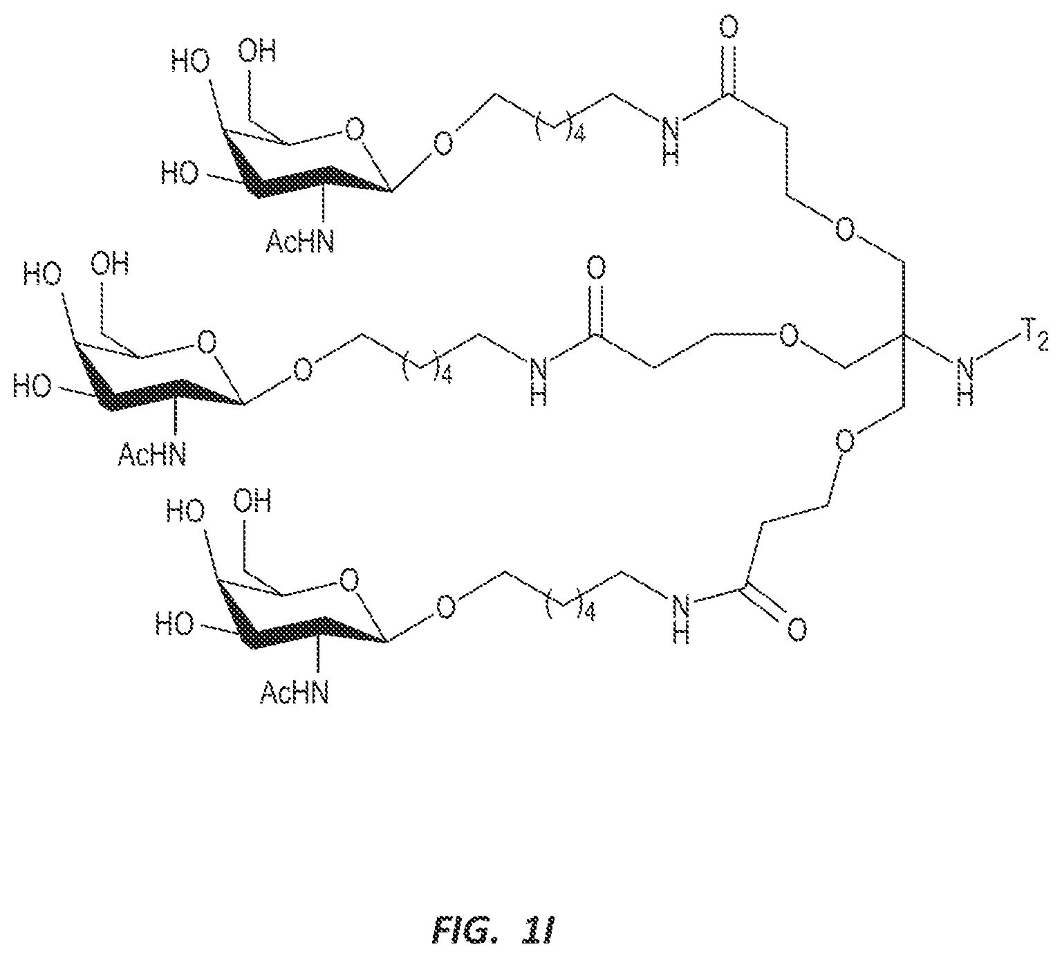 Patent US12303525 Figure 4 – Nucleic acid molecule for reduction of PAPD5 and PAPD7 mRNA for treating hepatitis B infection