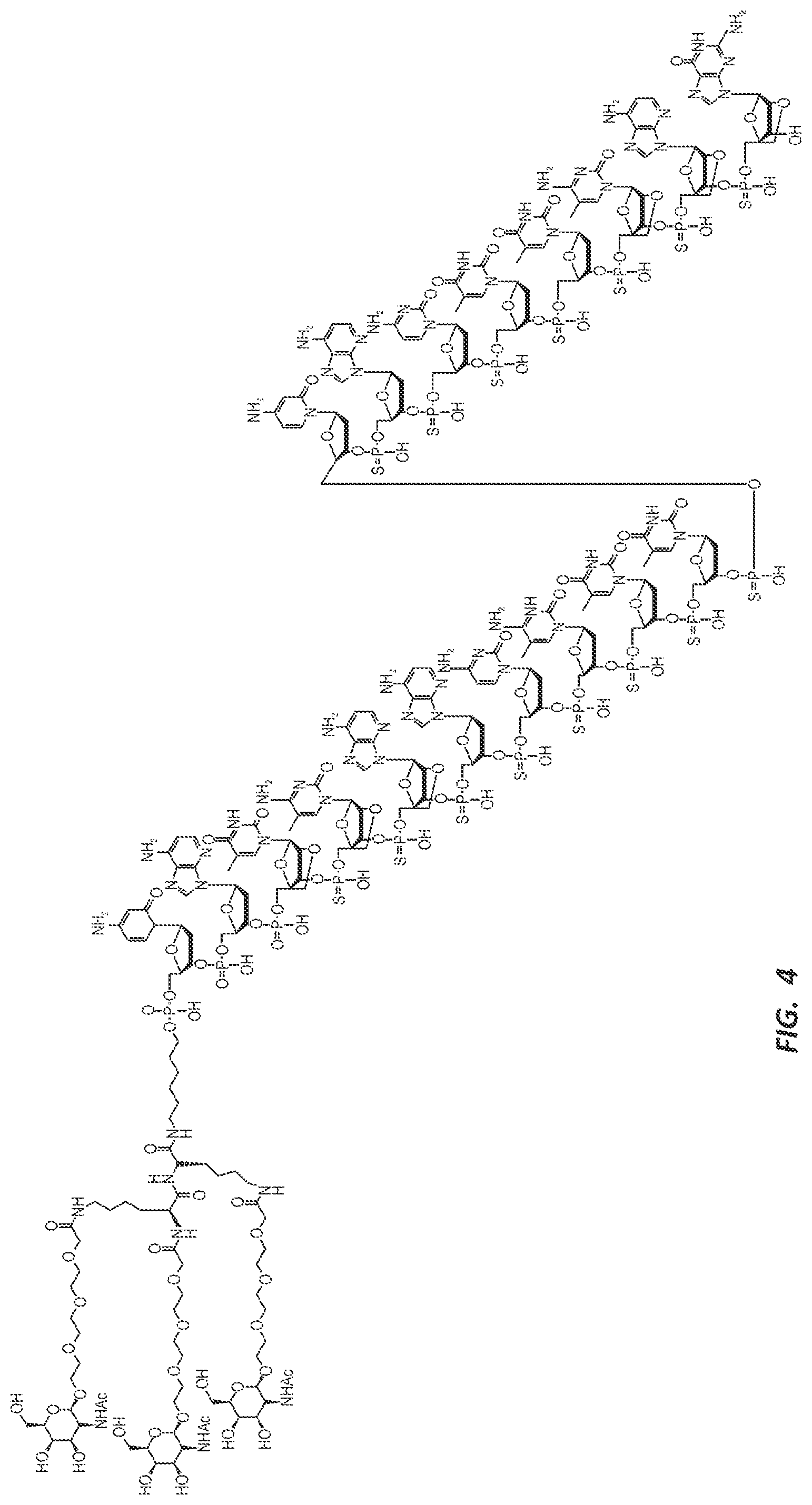 Patent US12303525 Figure 7 – Nucleic acid molecule for reduction of PAPD5 and PAPD7 mRNA for treating hepatitis B infection