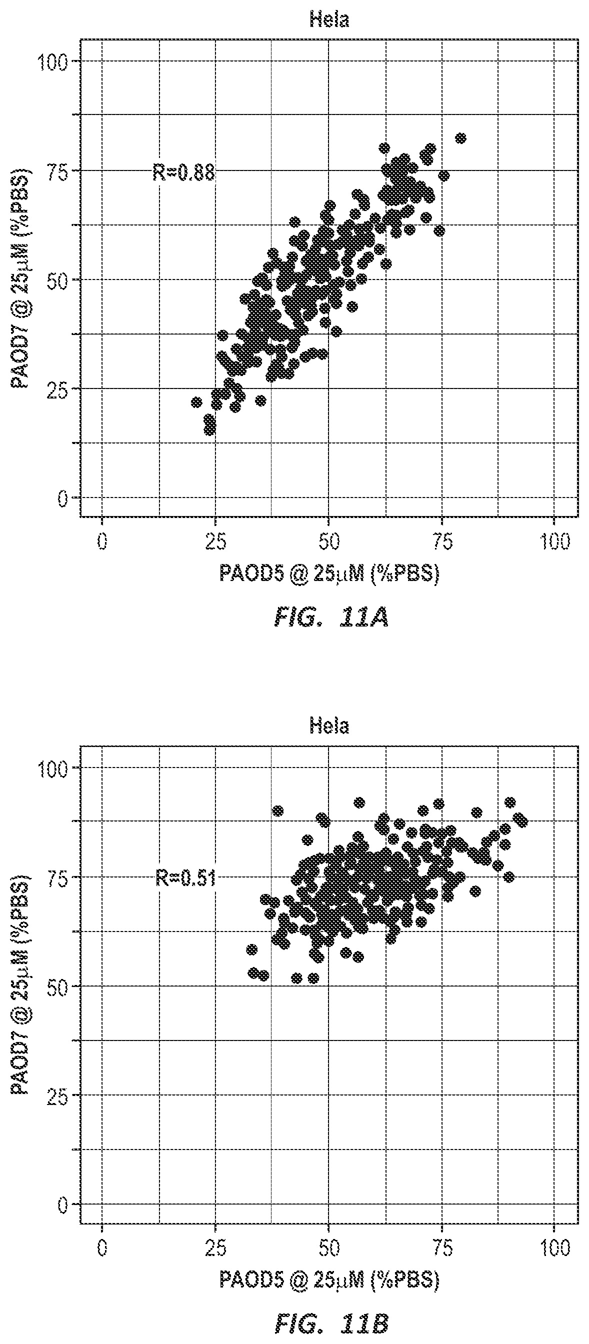 Patent US12303525 Figure 14 – Nucleic acid molecule for reduction of PAPD5 and PAPD7 mRNA for treating hepatitis B infection