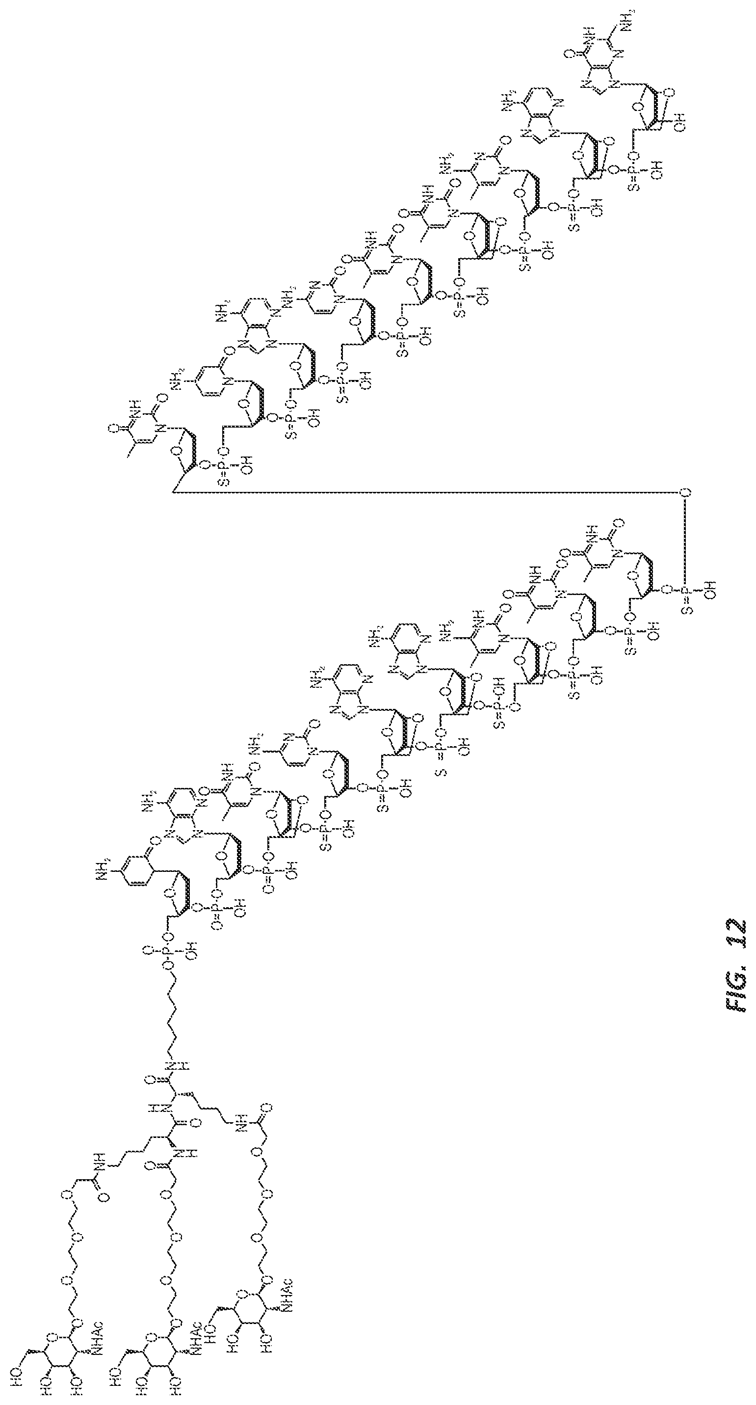 Patent US12303525 Figure 15 – Nucleic acid molecule for reduction of PAPD5 and PAPD7 mRNA for treating hepatitis B infection