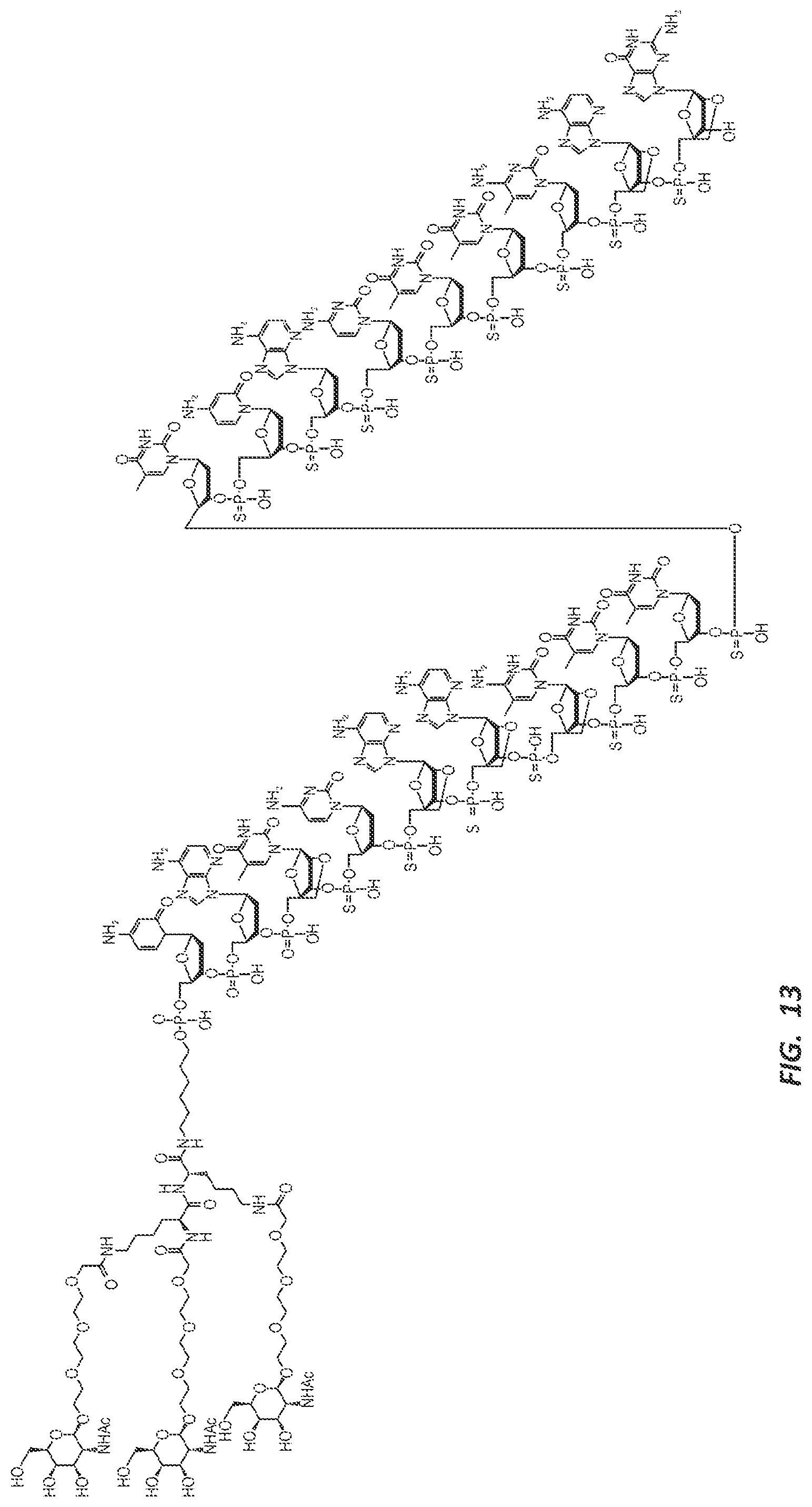 Patent US12303525 Figure 16 – Nucleic acid molecule for reduction of PAPD5 and PAPD7 mRNA for treating hepatitis B infection