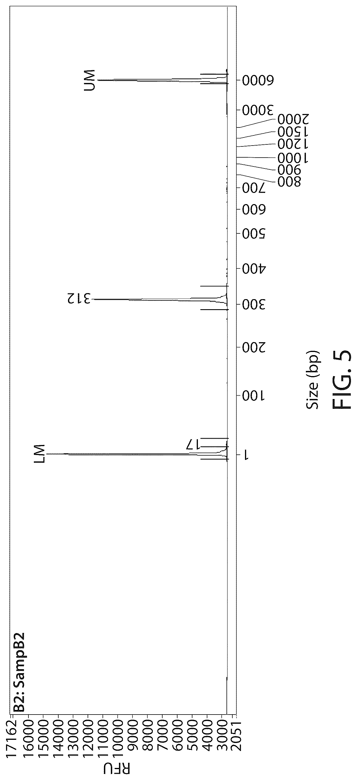 Patent US12303526 Figure 6 – DNA compositions and related methods