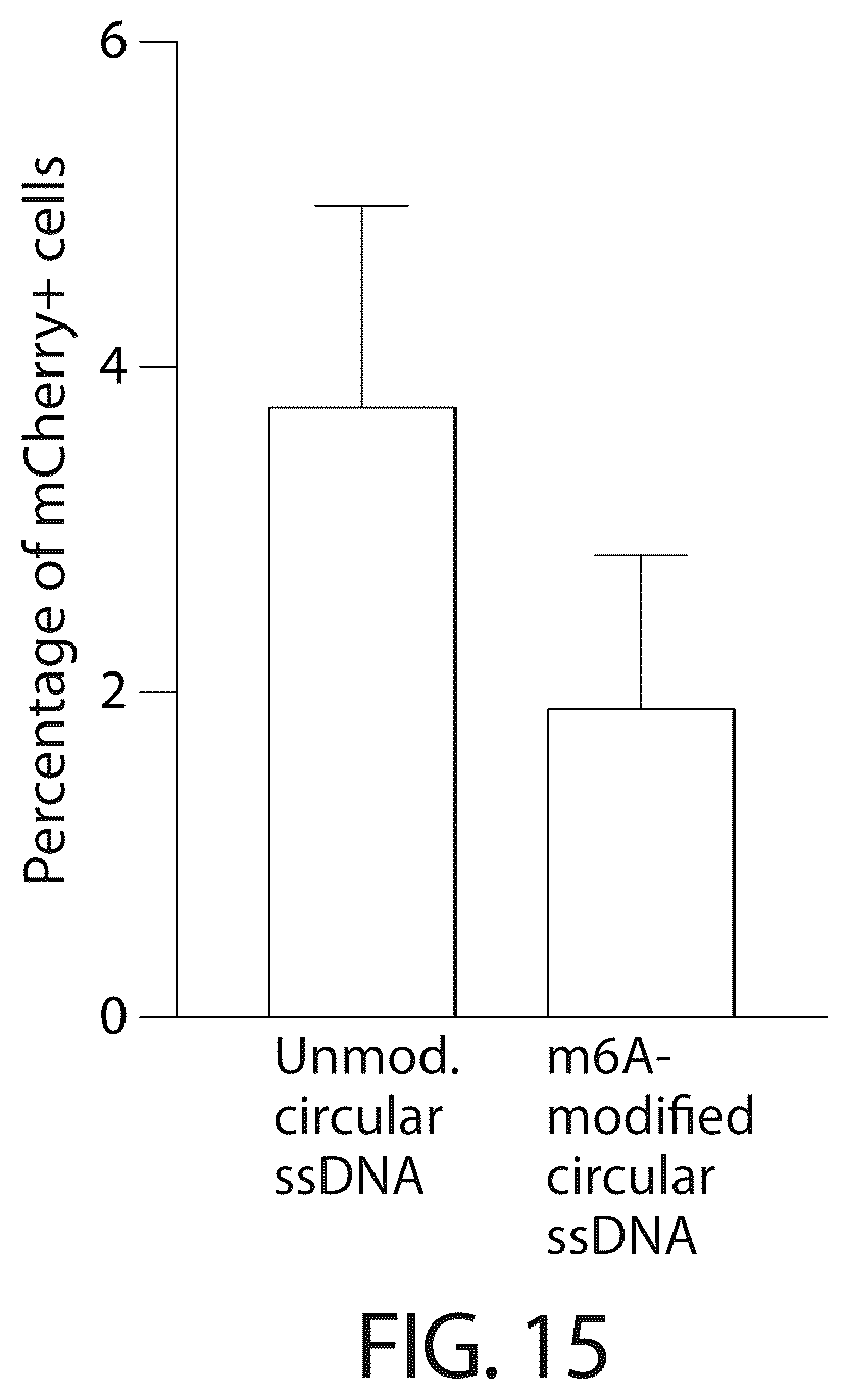 Patent US12303526 Figure 19 – DNA compositions and related methods