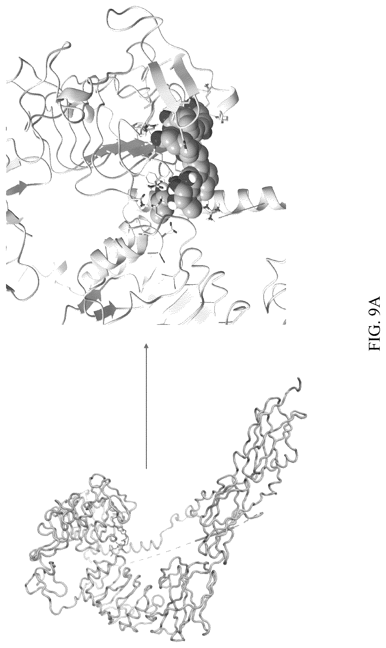 Patent US12303529 Figure 9 – Polyols and polyol-based hydrogels with anti-cancer activity