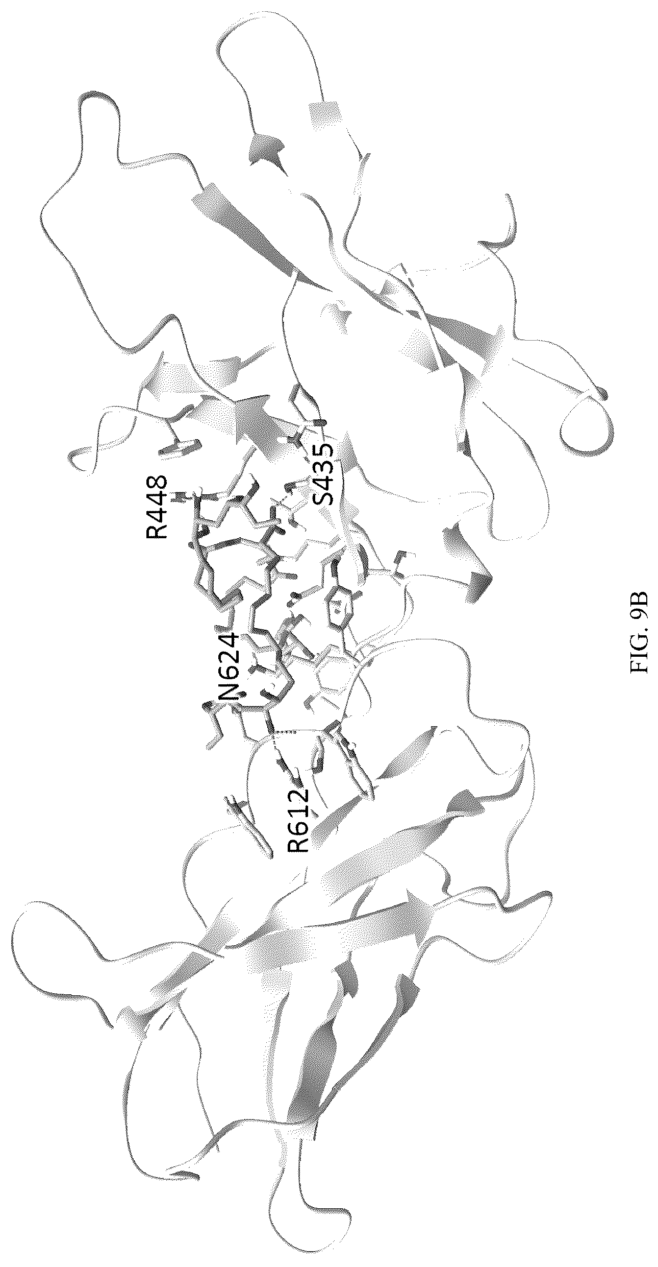 Patent US12303529 Figure 10 – Polyols and polyol-based hydrogels with anti-cancer activity