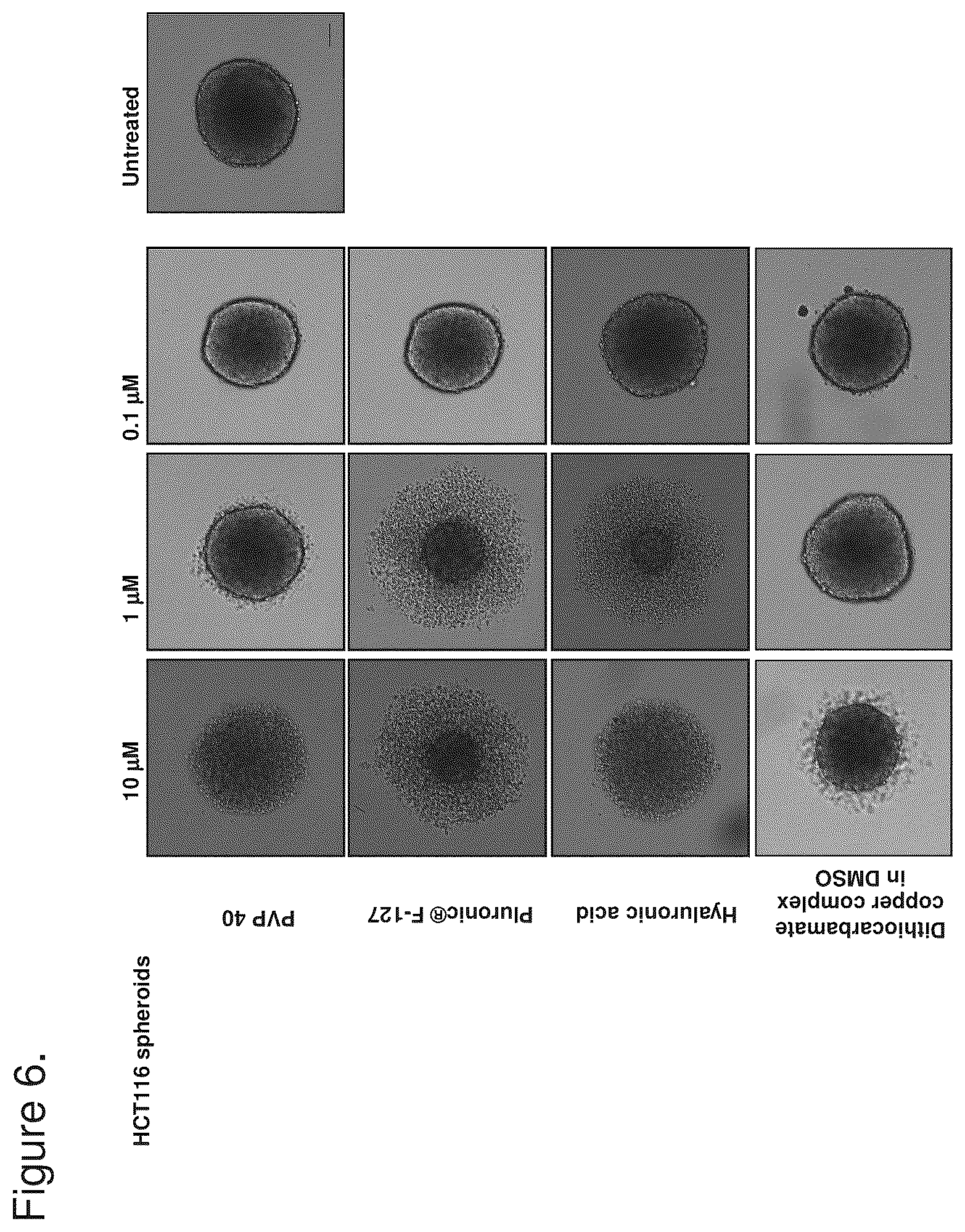 Patent US12303531 Figure 7 – Molecular complex assembly particles comprising bis-R1,R2-dithiocarbamate-metal complex and a ligand, method of preparation and use thereof