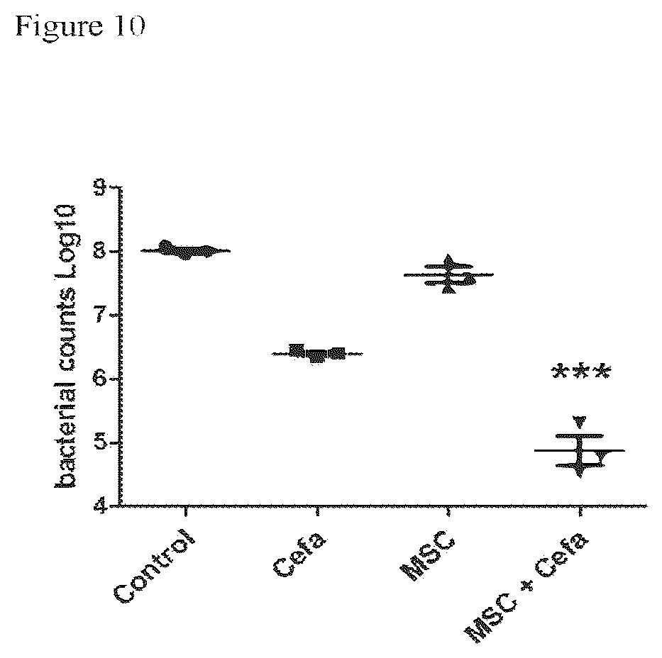 Patent US12303535 Figure 10 – Activated stem cells and systemic treatment methods for infected wounds