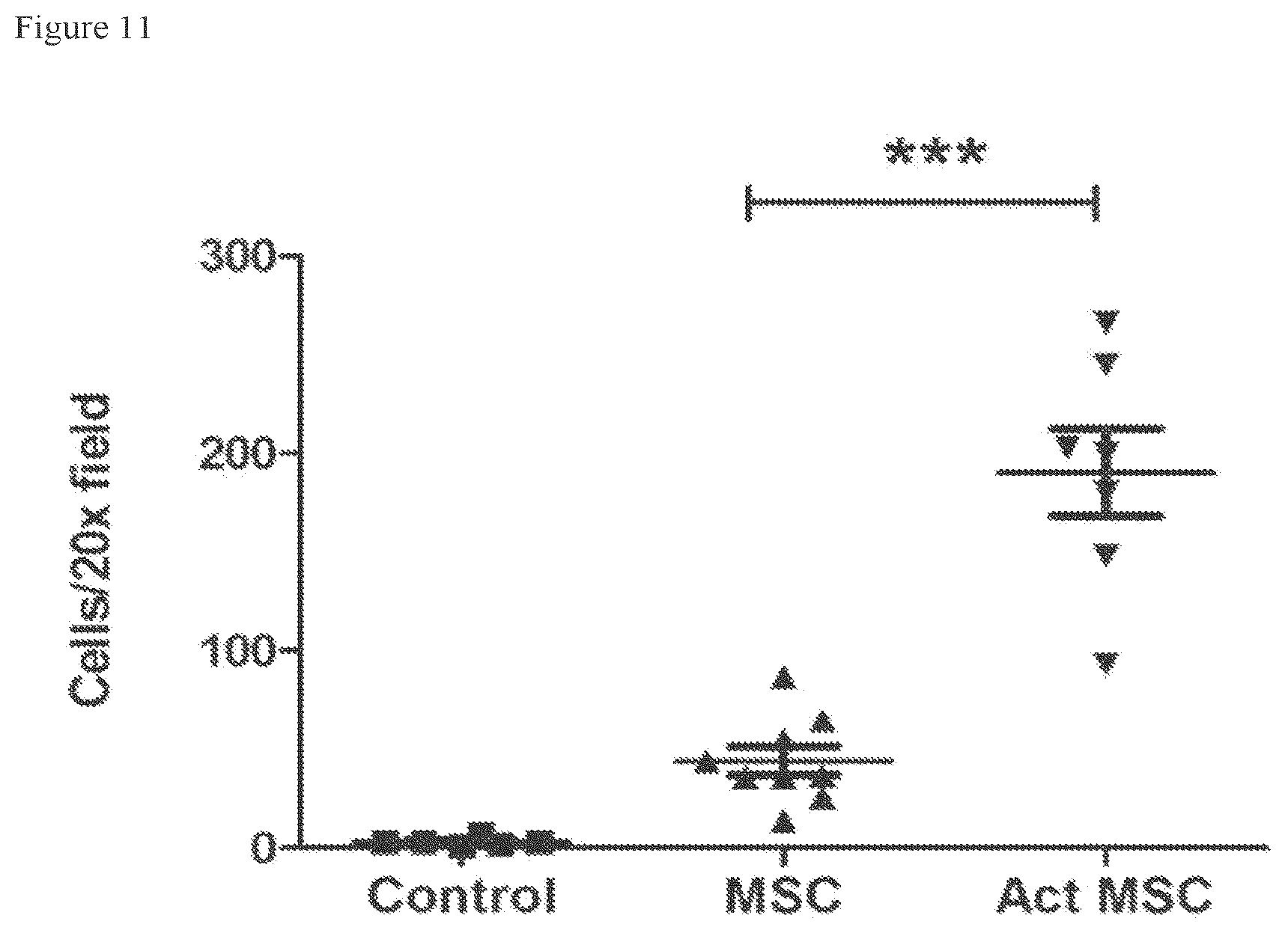 Patent US12303535 Figure 11 – Activated stem cells and systemic treatment methods for infected wounds