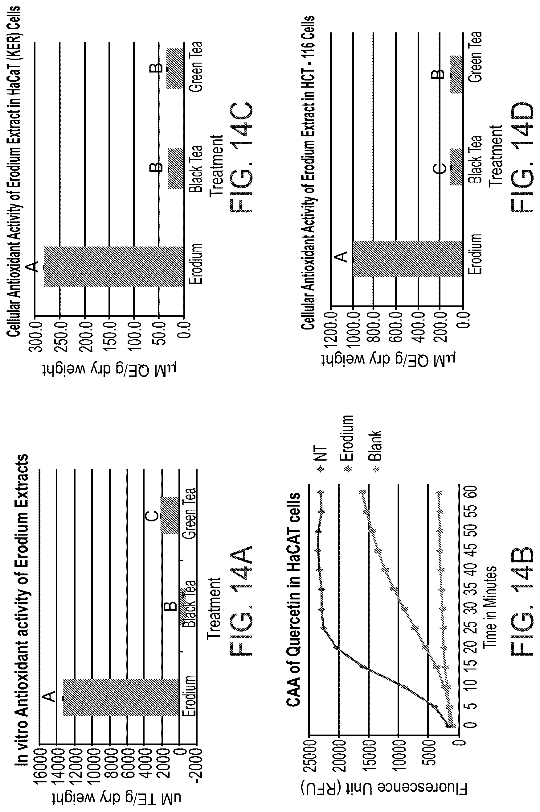 Patent US12303541 Figure 15 – Erodium crassifolium L'Her plant extracts and uses thereof
