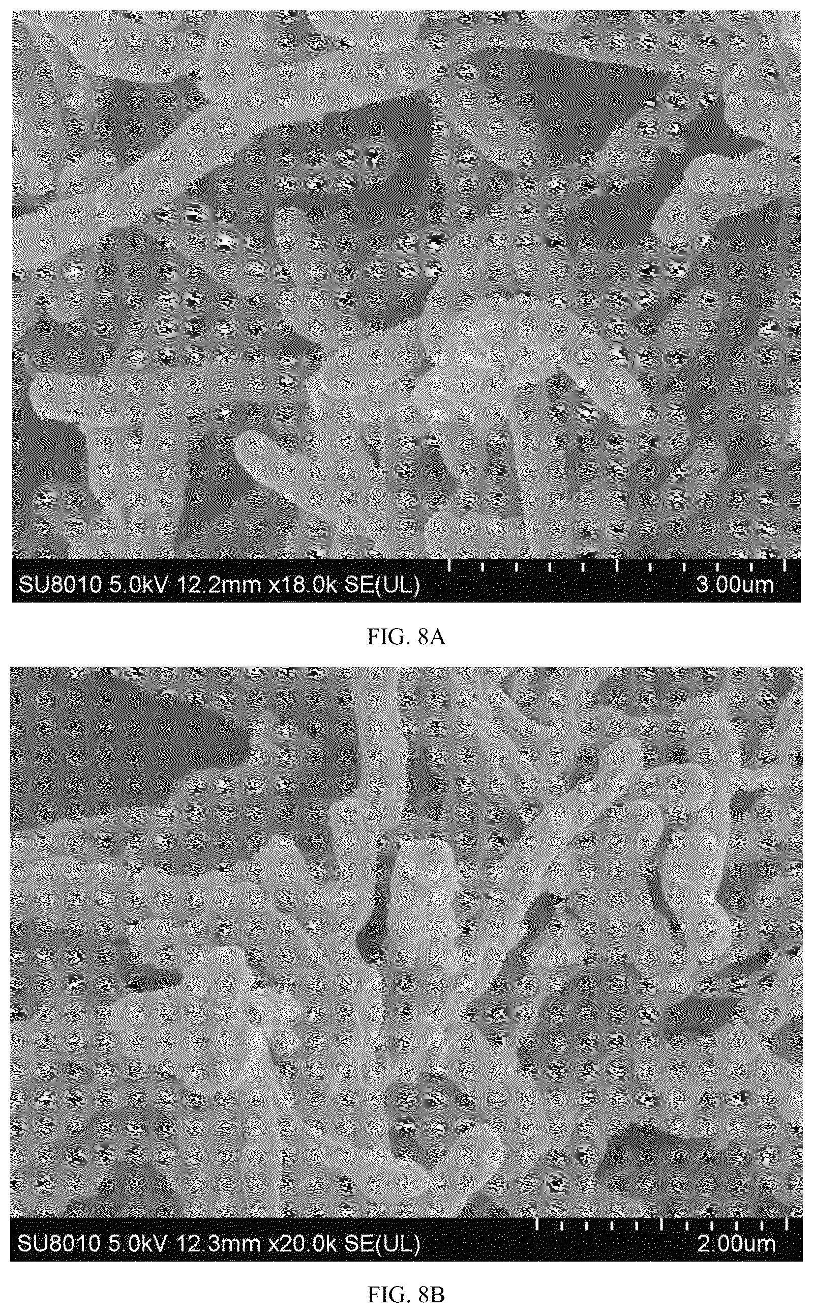 Patent US12303545 Figure 7 – Polypeptide with anti- Mycobacterium tuberculosis activity, and preparation method and use thereof