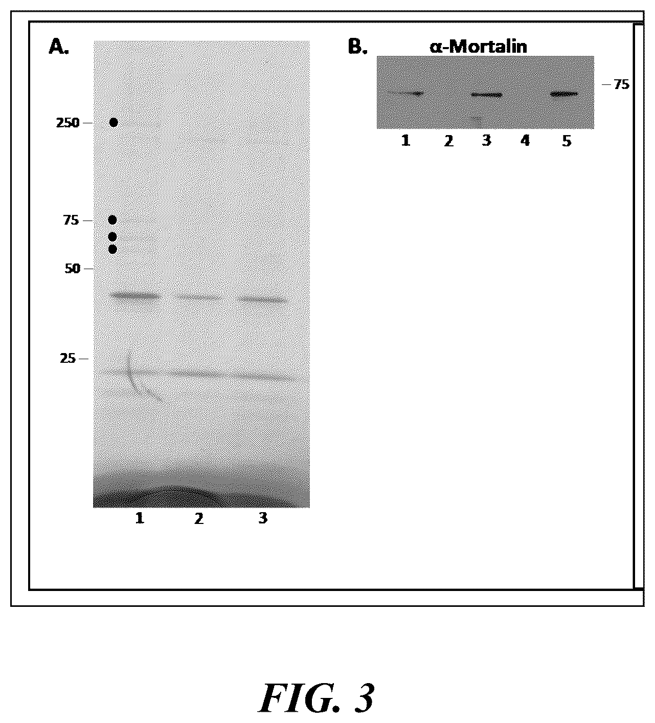 Patent US12303546 Figure 2 – Antimicrobial compositions and methods of use thereof
