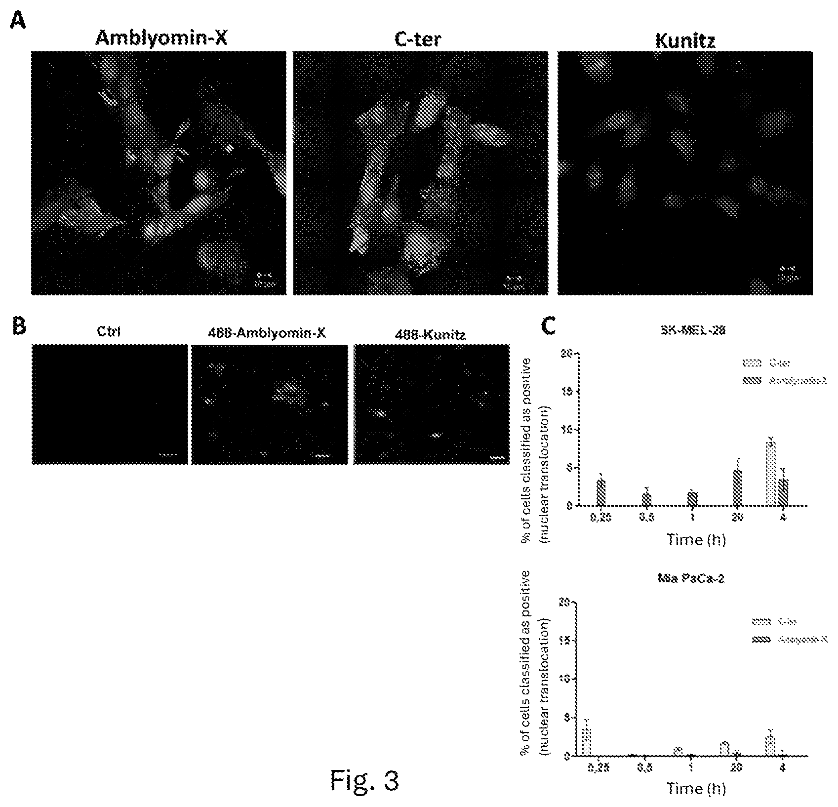 Patent US12303547 Figure 3 – Compound, use, pharmaceutical composition, method of diagnosis, method of treatment, and method of transportation and/or internalization of a compound into eukaryotic cells