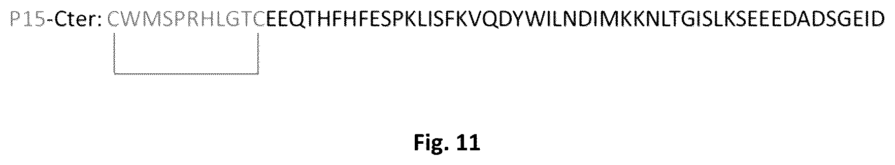 Patent US12303547 Figure 11 – Compound, use, pharmaceutical composition, method of diagnosis, method of treatment, and method of transportation and/or internalization of a compound into eukaryotic cells