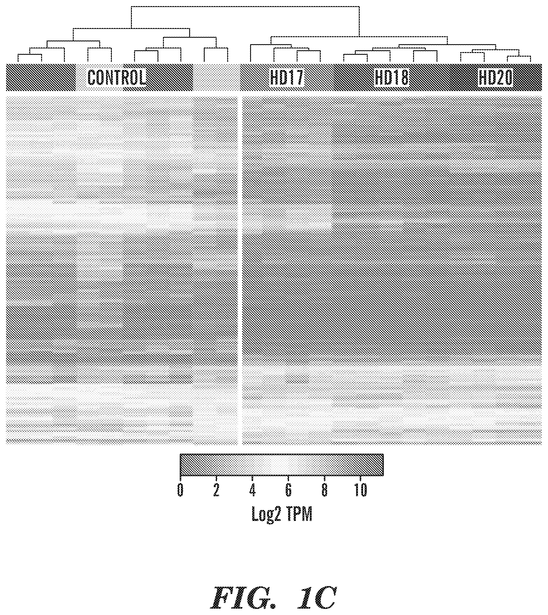 Patent US12303549 Figure 3 – Methods of treating or inhibiting onset of Huntington's disease